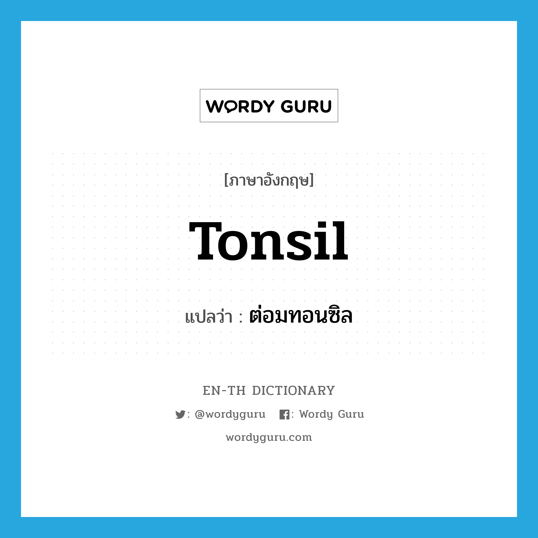 tonsil แปลว่า?, คำศัพท์ภาษาอังกฤษ tonsil แปลว่า ต่อมทอนซิล ประเภท N หมวด N
