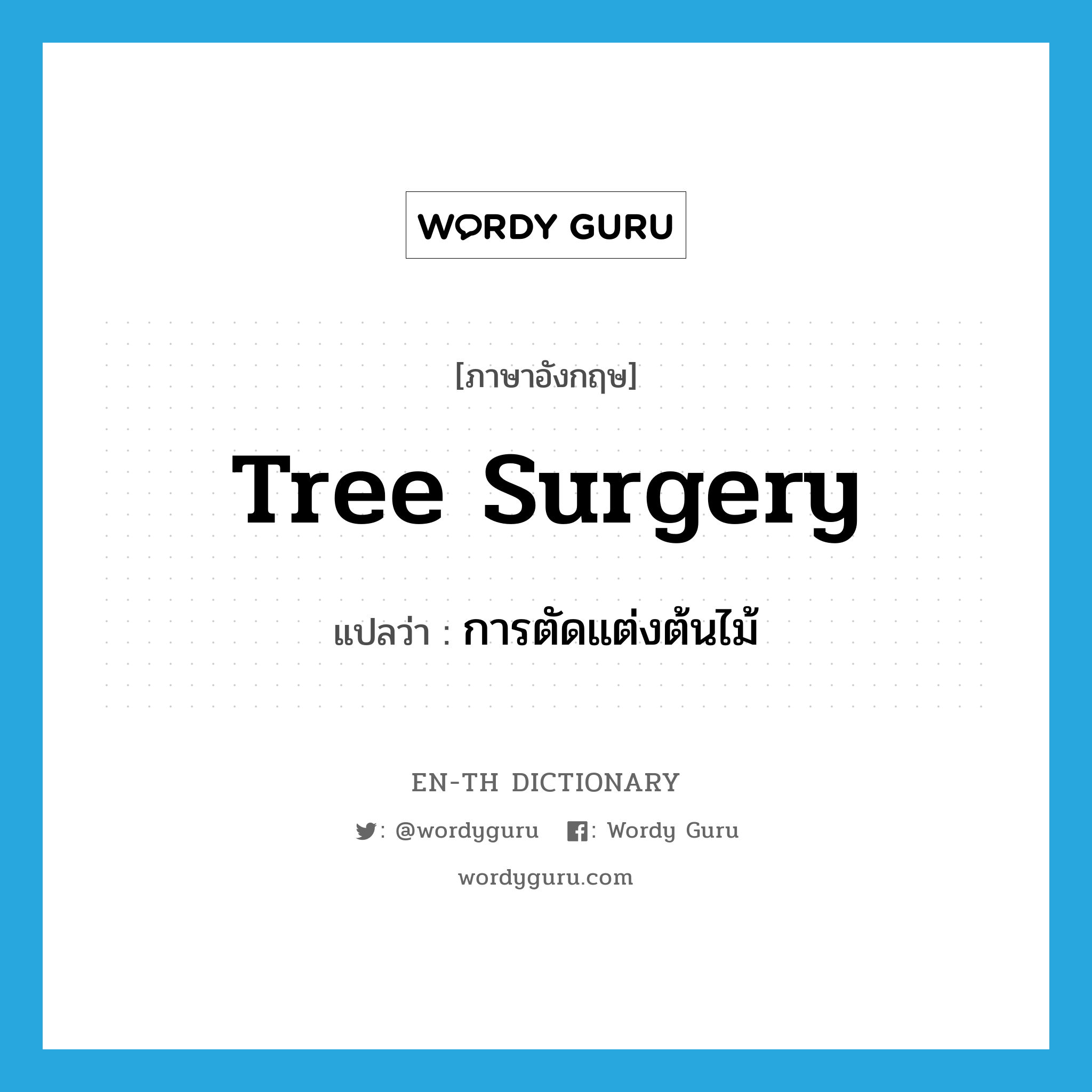 tree surgery แปลว่า?, คำศัพท์ภาษาอังกฤษ tree surgery แปลว่า การตัดแต่งต้นไม้ ประเภท N หมวด N