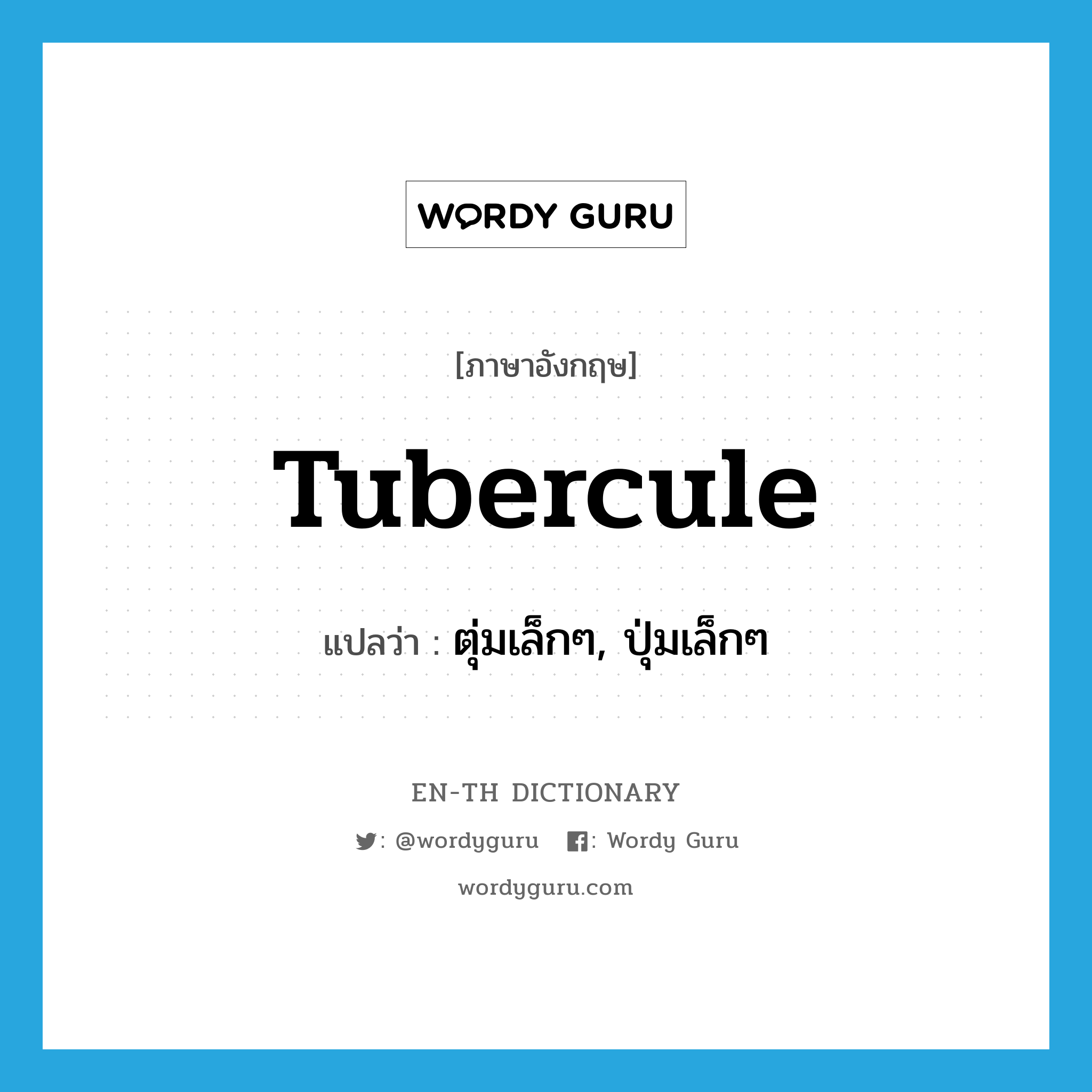 tubercule แปลว่า?, คำศัพท์ภาษาอังกฤษ tubercule แปลว่า ตุ่มเล็กๆ, ปุ่มเล็กๆ ประเภท N หมวด N
