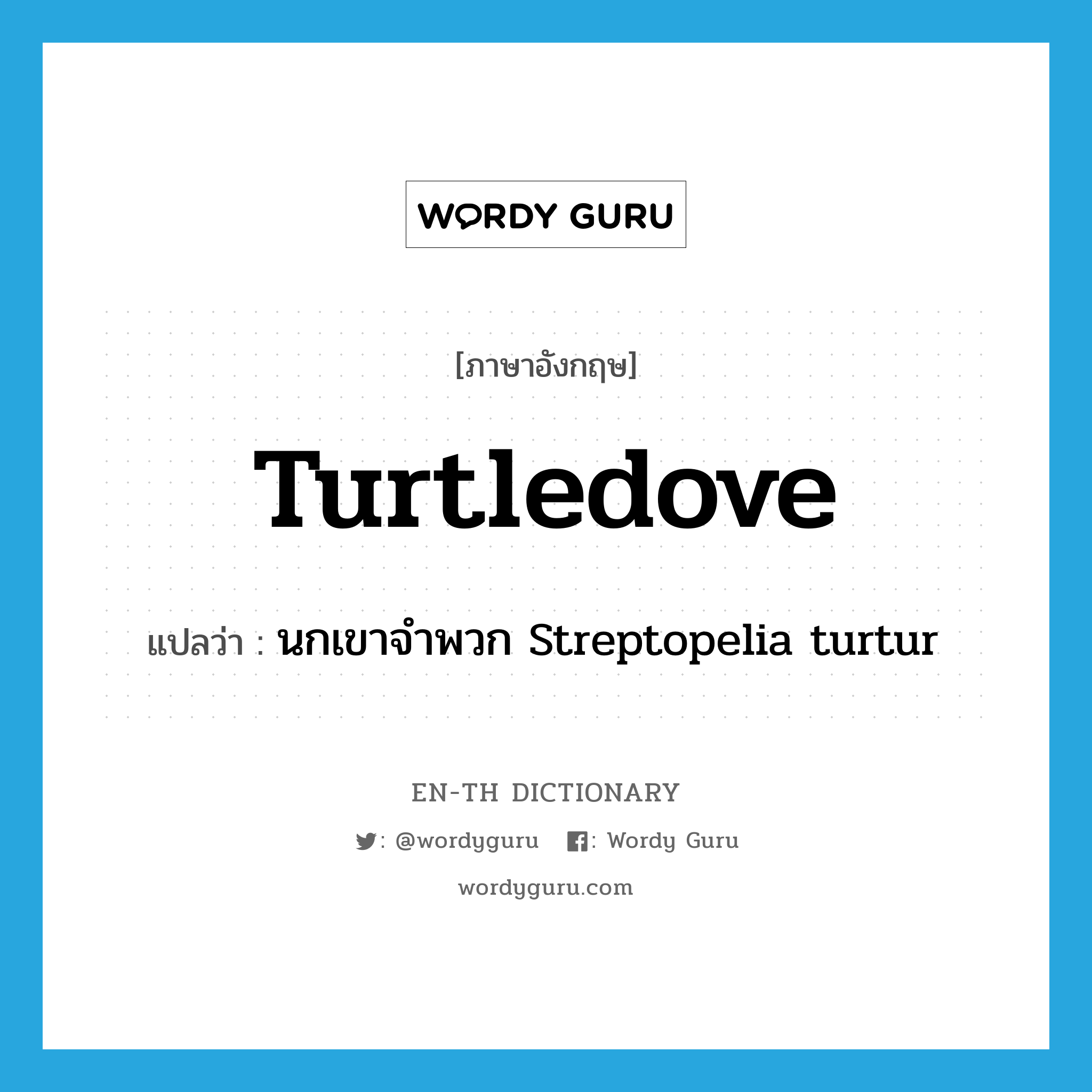 turtledove แปลว่า?, คำศัพท์ภาษาอังกฤษ turtledove แปลว่า นกเขาจำพวก Streptopelia turtur ประเภท N หมวด N
