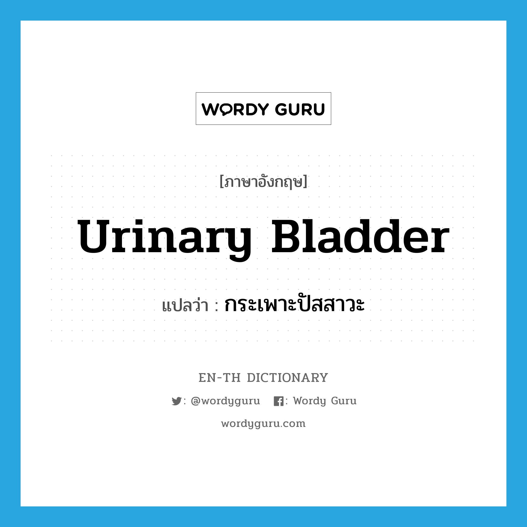 urinary bladder แปลว่า?, คำศัพท์ภาษาอังกฤษ urinary bladder แปลว่า กระเพาะปัสสาวะ ประเภท N หมวด N