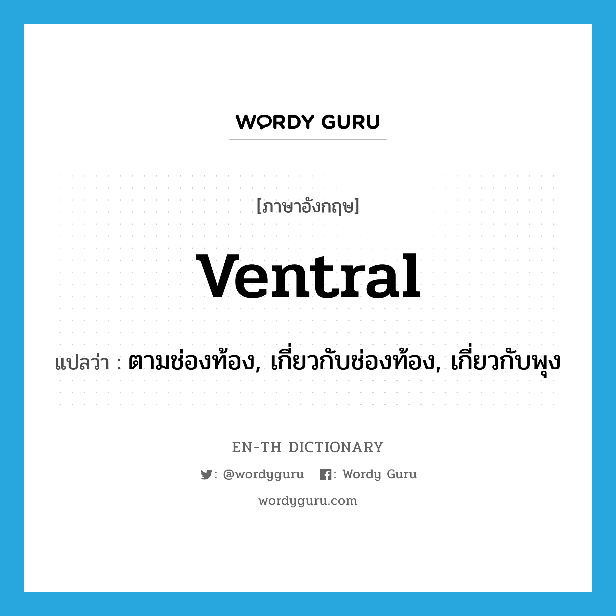 ventral แปลว่า?, คำศัพท์ภาษาอังกฤษ ventral แปลว่า ตามช่องท้อง, เกี่ยวกับช่องท้อง, เกี่ยวกับพุง ประเภท ADJ หมวด ADJ
