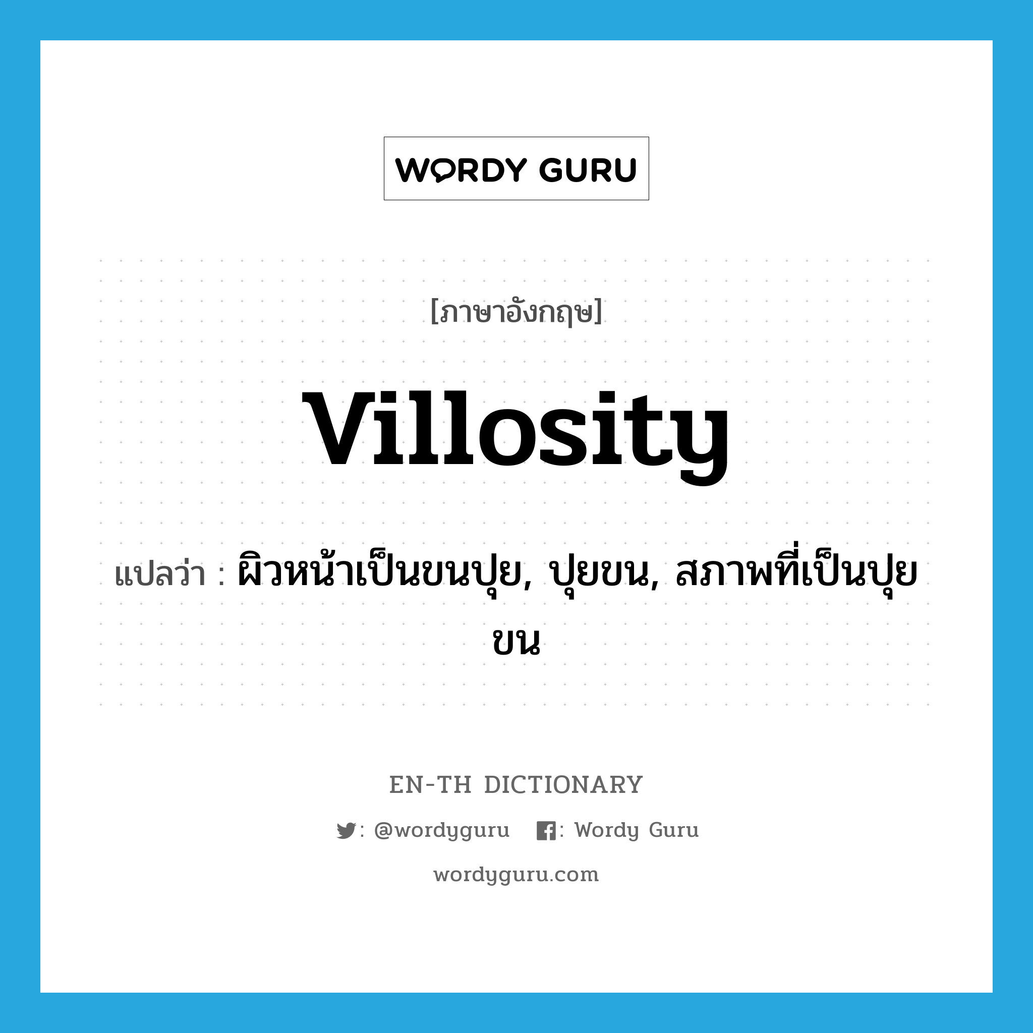 villosity แปลว่า?, คำศัพท์ภาษาอังกฤษ villosity แปลว่า ผิวหน้าเป็นขนปุย, ปุยขน, สภาพที่เป็นปุยขน ประเภท N หมวด N