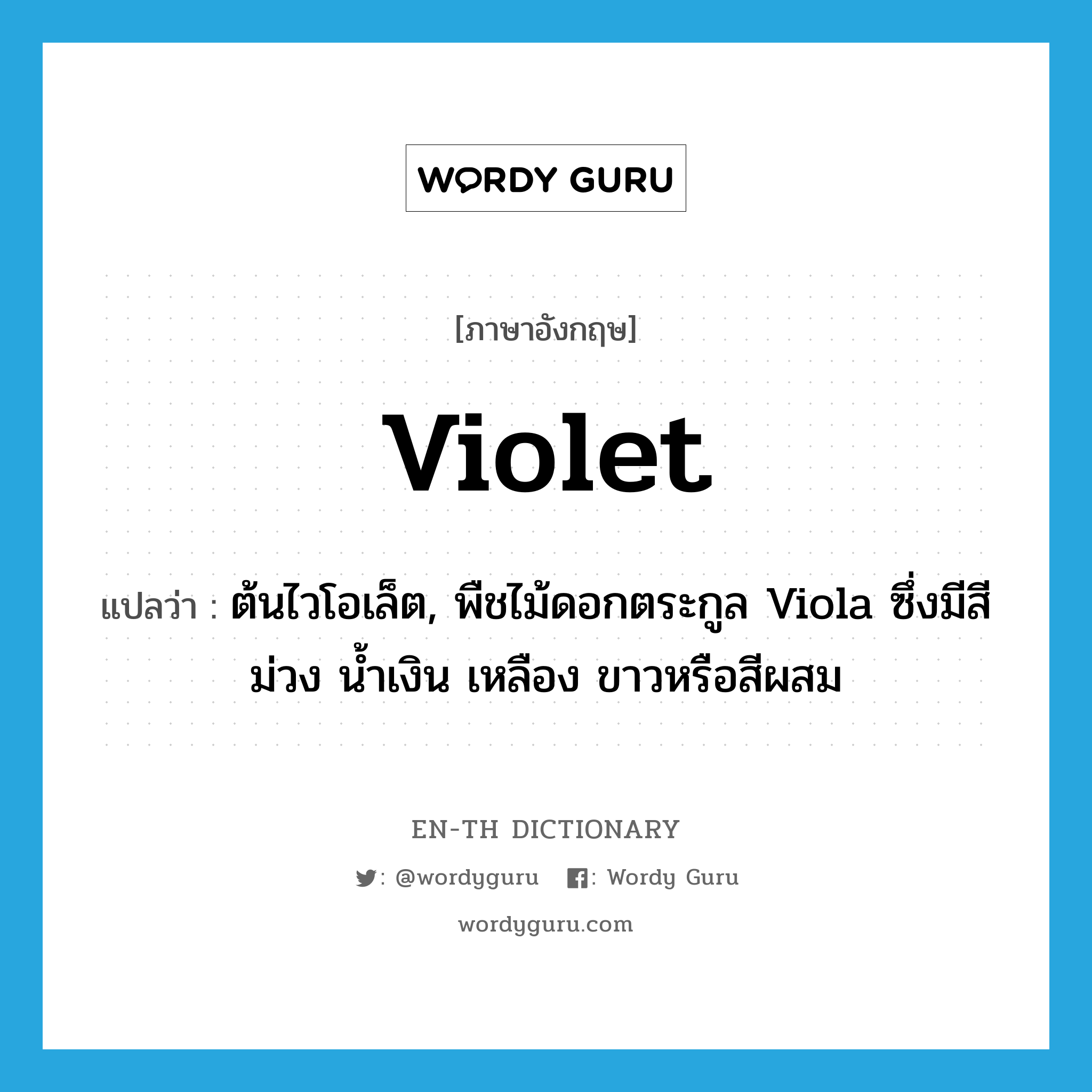 violet แปลว่า?, คำศัพท์ภาษาอังกฤษ violet แปลว่า ต้นไวโอเล็ต, พืชไม้ดอกตระกูล Viola ซึ่งมีสีม่วง น้ำเงิน เหลือง ขาวหรือสีผสม ประเภท N หมวด N