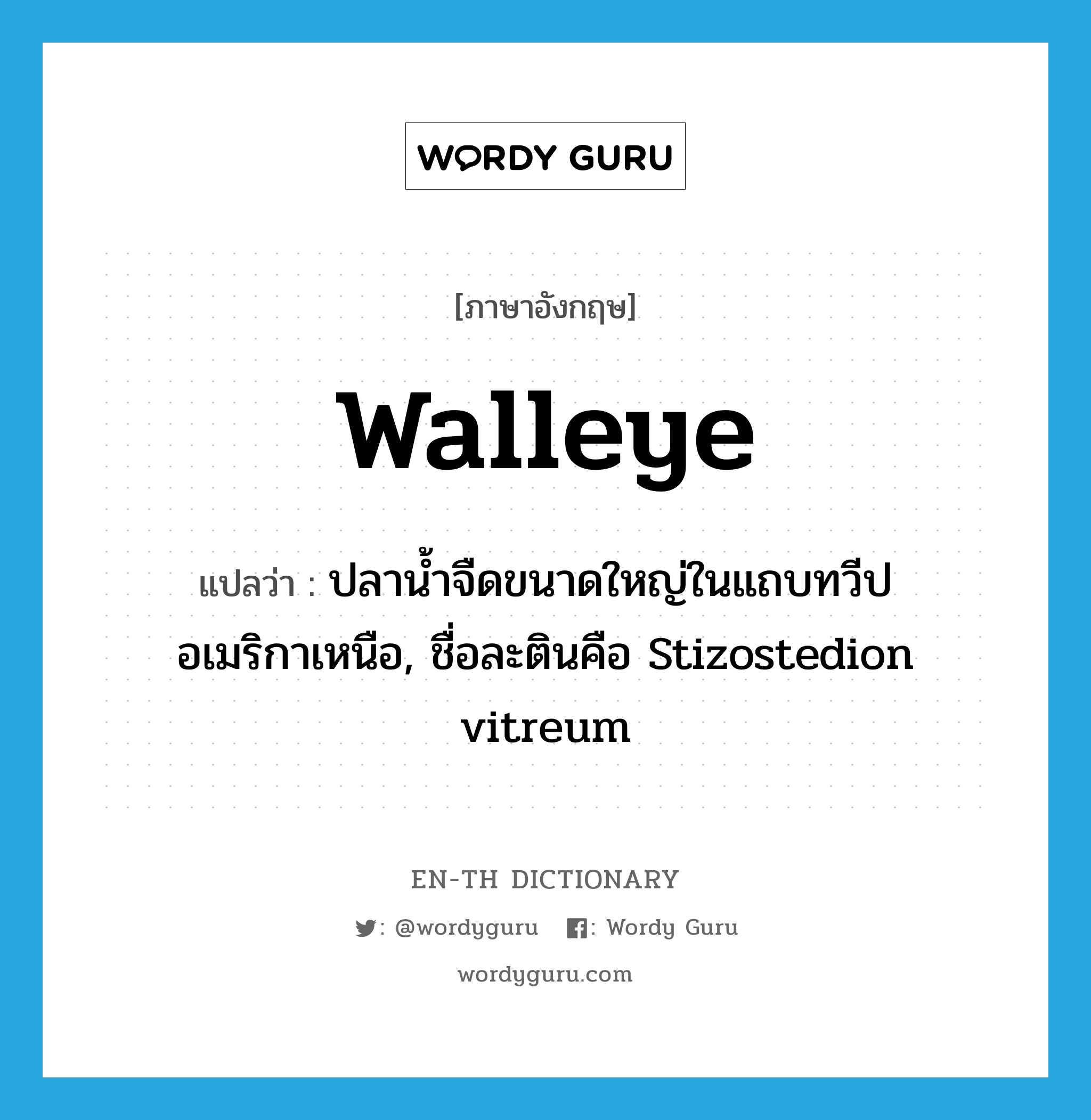 walleye แปลว่า?, คำศัพท์ภาษาอังกฤษ walleye แปลว่า ปลาน้ำจืดขนาดใหญ่ในแถบทวีปอเมริกาเหนือ, ชื่อละตินคือ Stizostedion vitreum ประเภท N หมวด N