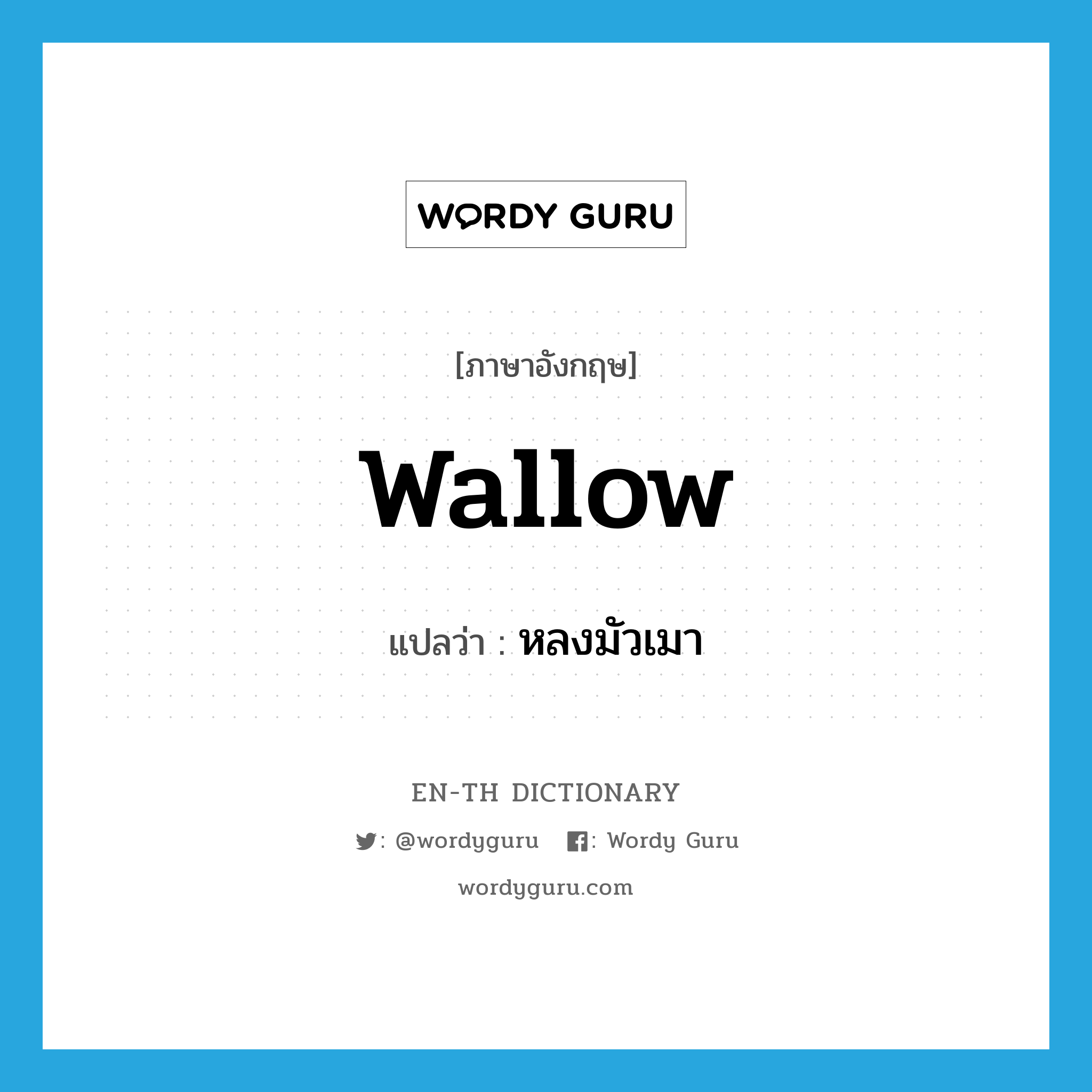 wallow แปลว่า?, คำศัพท์ภาษาอังกฤษ wallow แปลว่า หลงมัวเมา ประเภท VI หมวด VI