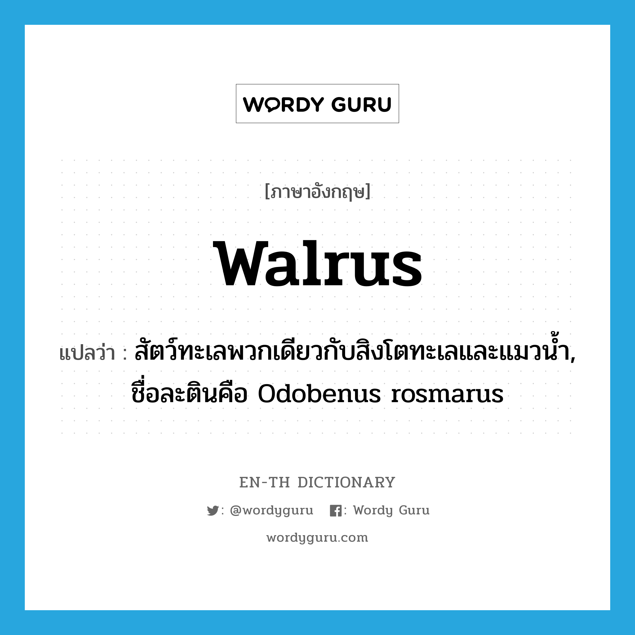walrus แปลว่า?, คำศัพท์ภาษาอังกฤษ walrus แปลว่า สัตว์ทะเลพวกเดียวกับสิงโตทะเลและแมวน้ำ, ชื่อละตินคือ Odobenus rosmarus ประเภท N หมวด N