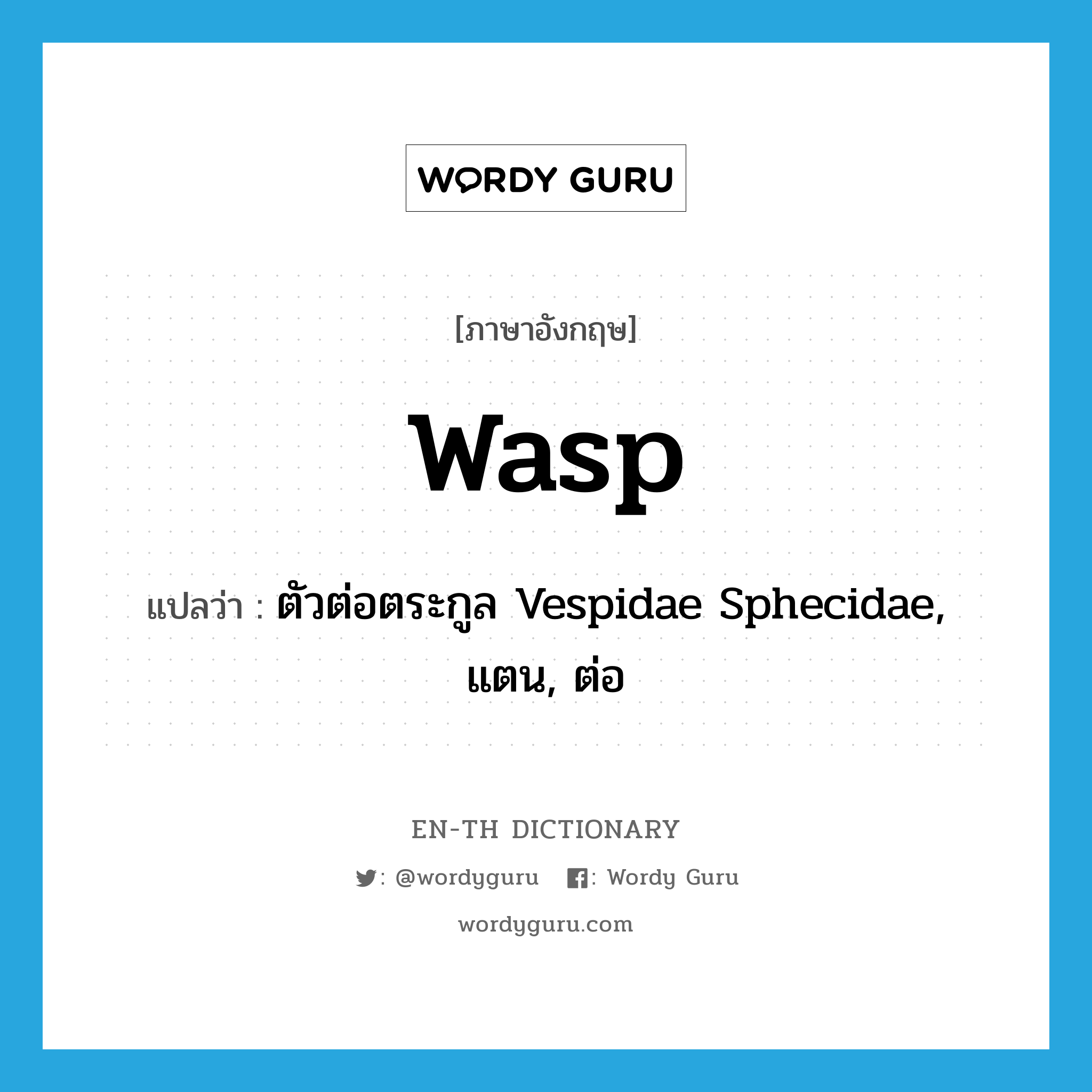 WASP แปลว่า?, คำศัพท์ภาษาอังกฤษ wasp แปลว่า ตัวต่อตระกูล Vespidae Sphecidae, แตน, ต่อ ประเภท N หมวด N