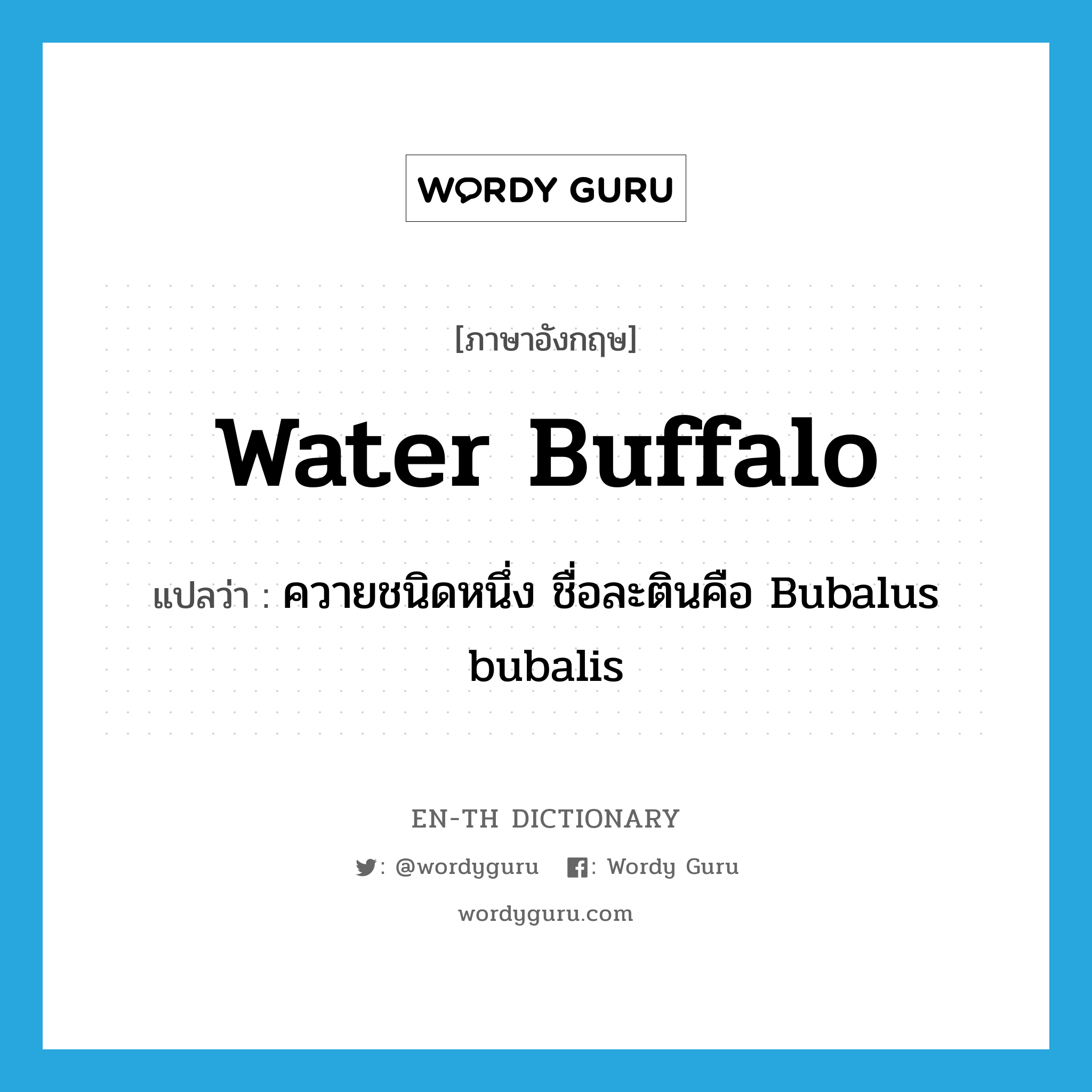water buffalo แปลว่า?, คำศัพท์ภาษาอังกฤษ water buffalo แปลว่า ควายชนิดหนึ่ง ชื่อละตินคือ Bubalus bubalis ประเภท N หมวด N