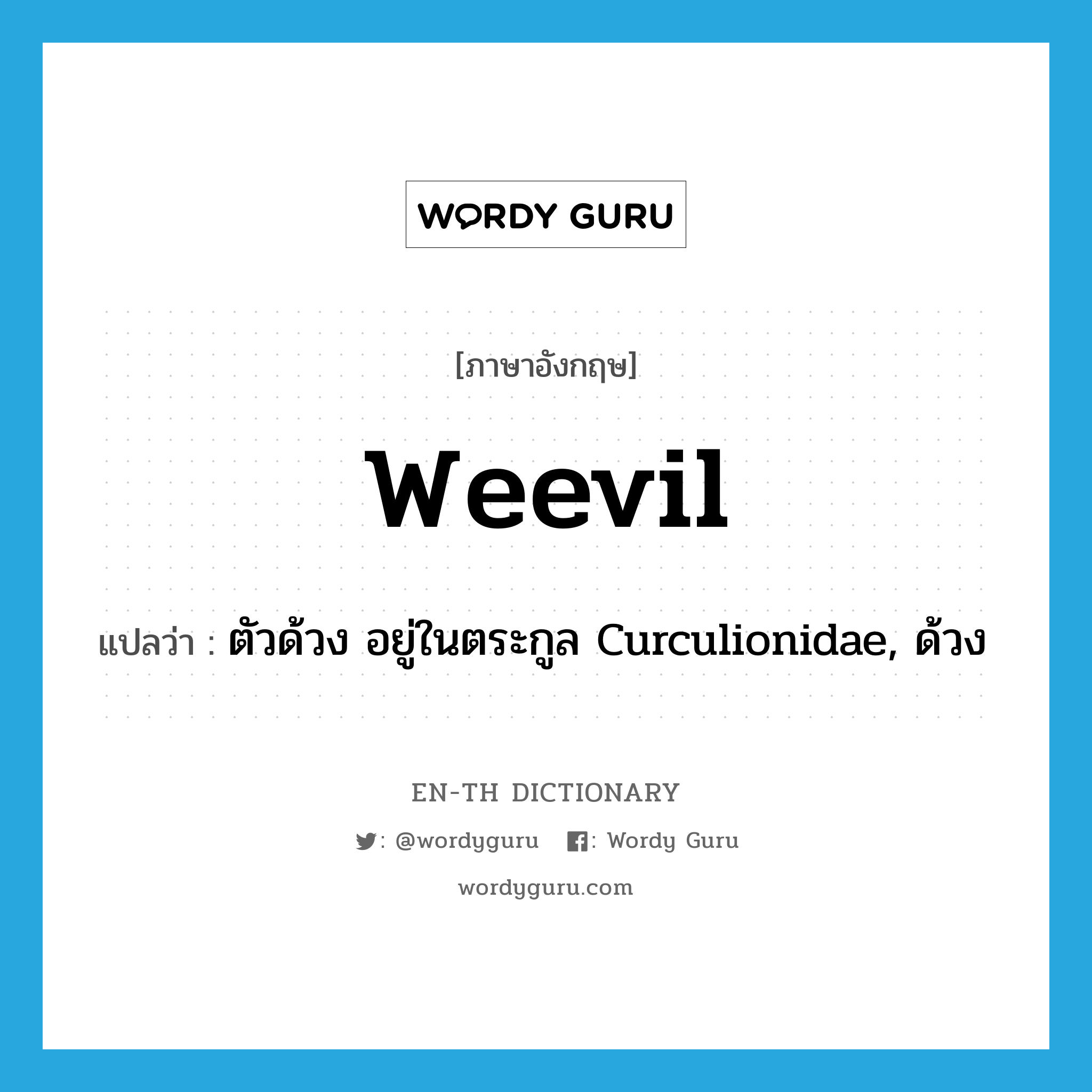 weevil แปลว่า?, คำศัพท์ภาษาอังกฤษ weevil แปลว่า ตัวด้วง อยู่ในตระกูล Curculionidae, ด้วง ประเภท N หมวด N