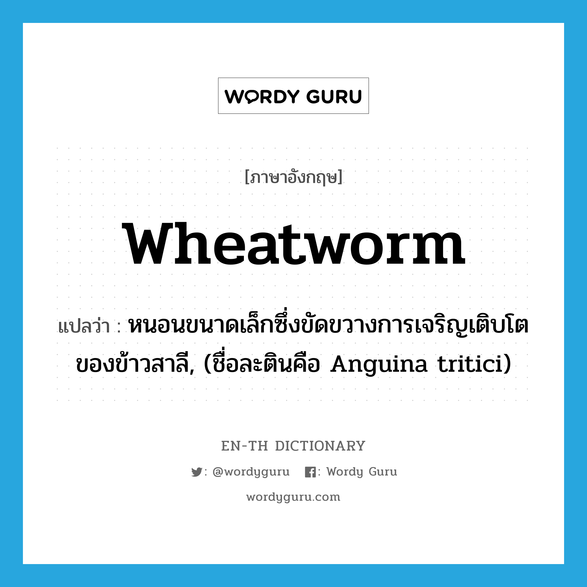 หนอนขนาดเล็กซึ่งขัดขวางการเจริญเติบโตของข้าวสาลี, (ชื่อละตินคือ Anguina tritici) ภาษาอังกฤษ?, คำศัพท์ภาษาอังกฤษ หนอนขนาดเล็กซึ่งขัดขวางการเจริญเติบโตของข้าวสาลี, (ชื่อละตินคือ Anguina tritici) แปลว่า wheatworm ประเภท N หมวด N