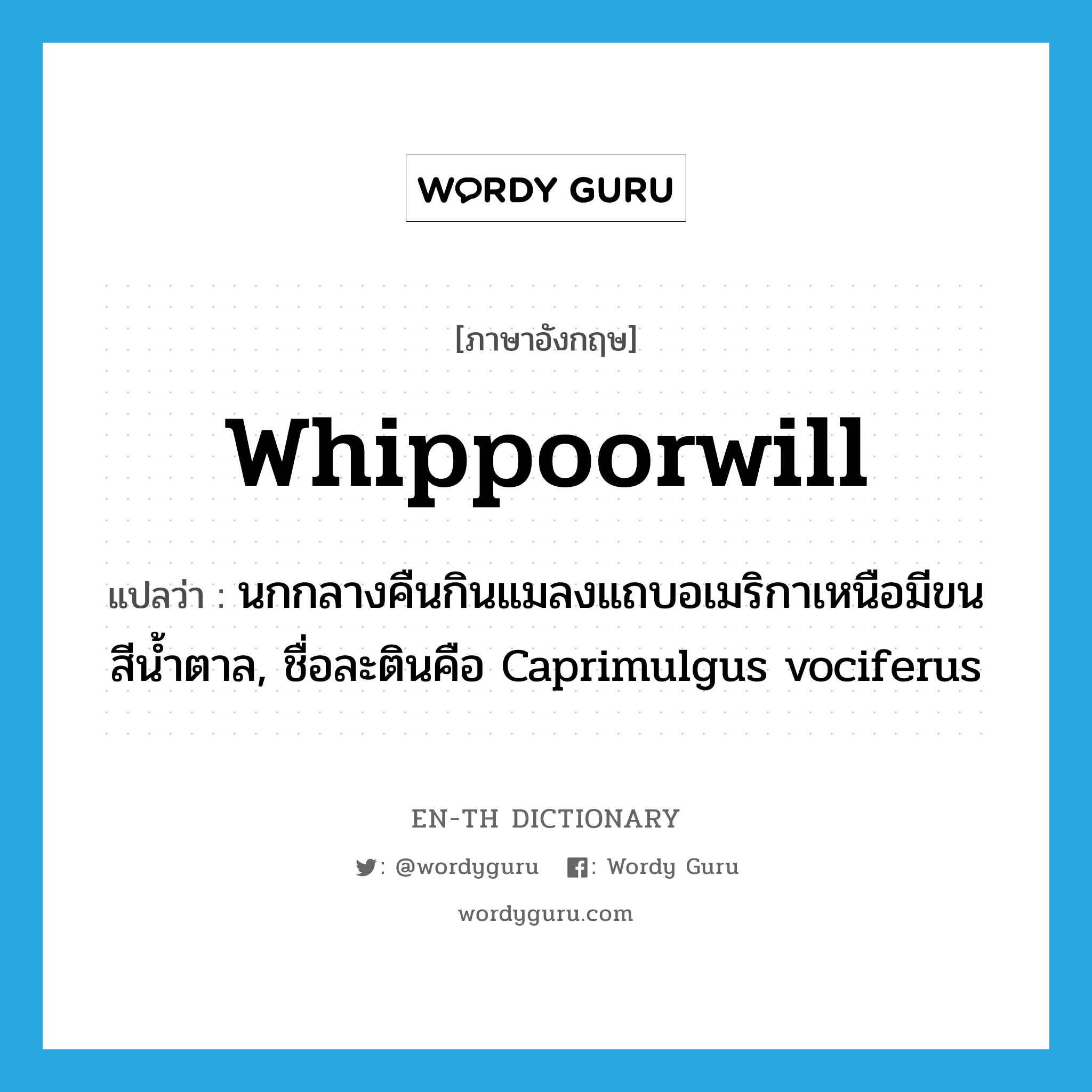 whippoorwill แปลว่า?, คำศัพท์ภาษาอังกฤษ whippoorwill แปลว่า นกกลางคืนกินแมลงแถบอเมริกาเหนือมีขนสีน้ำตาล, ชื่อละตินคือ Caprimulgus vociferus ประเภท N หมวด N