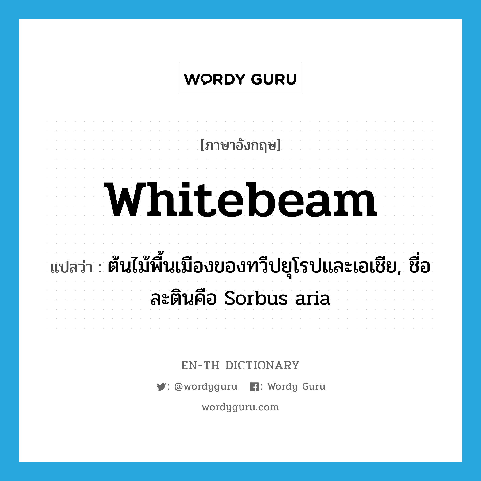 whitebeam แปลว่า?, คำศัพท์ภาษาอังกฤษ whitebeam แปลว่า ต้นไม้พื้นเมืองของทวีปยุโรปและเอเชีย, ชื่อละตินคือ Sorbus aria ประเภท N หมวด N
