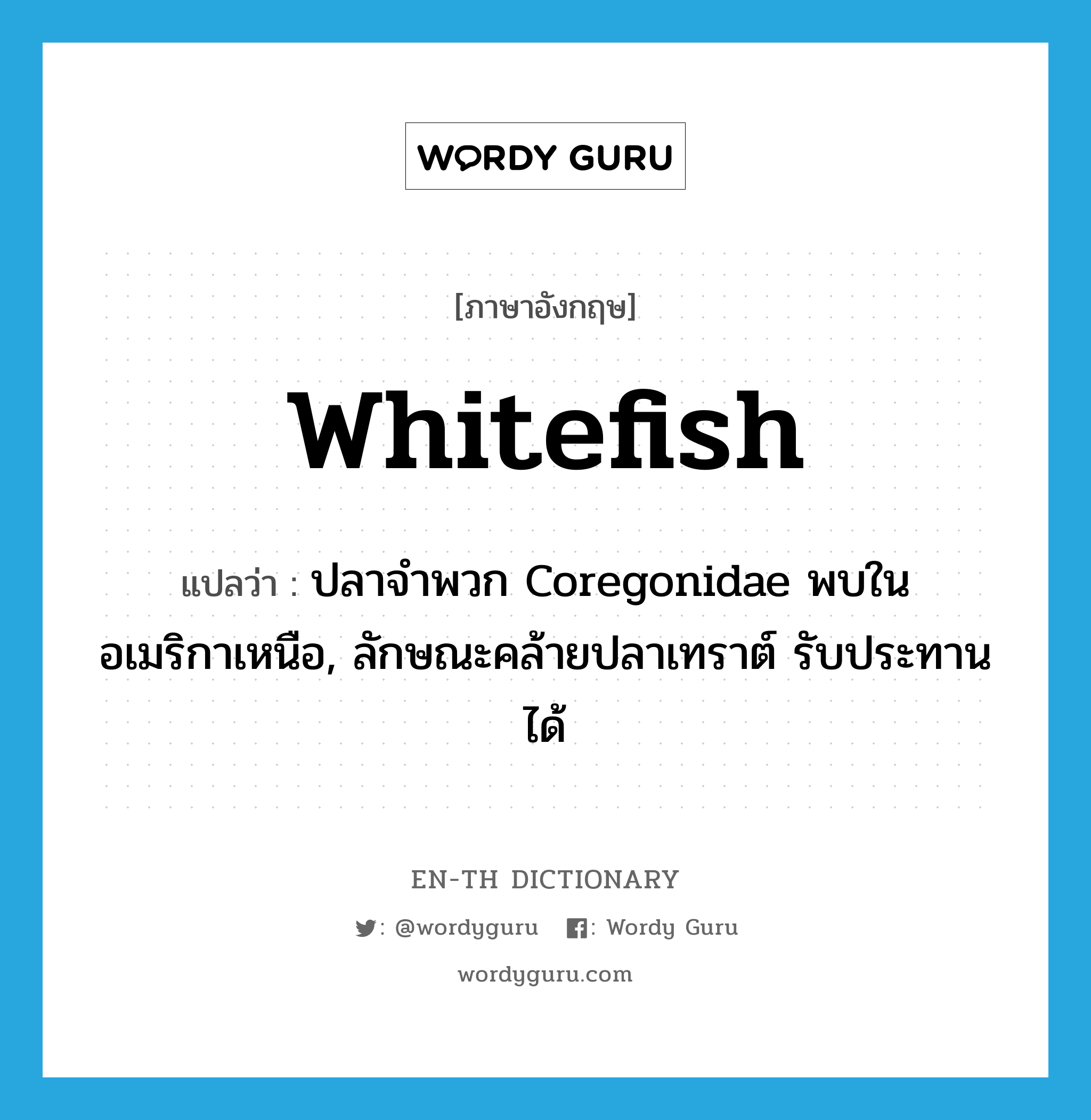 whitefish แปลว่า?, คำศัพท์ภาษาอังกฤษ whitefish แปลว่า ปลาจำพวก Coregonidae พบในอเมริกาเหนือ, ลักษณะคล้ายปลาเทราต์ รับประทานได้ ประเภท N หมวด N