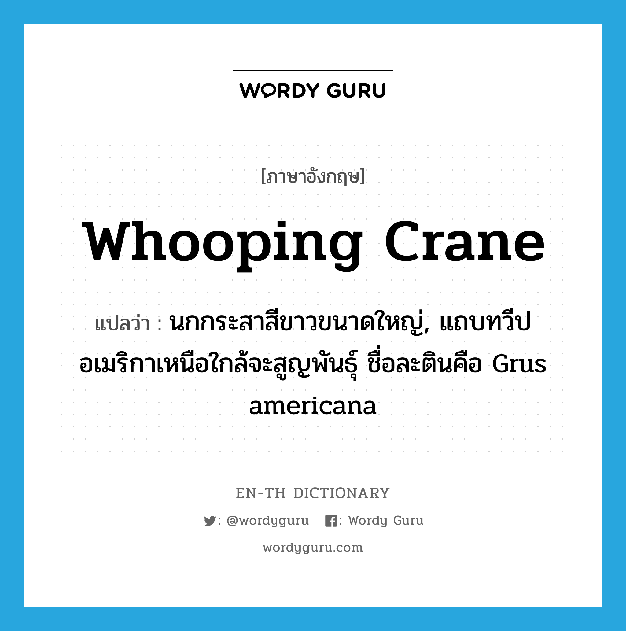 whooping crane แปลว่า?, คำศัพท์ภาษาอังกฤษ whooping crane แปลว่า นกกระสาสีขาวขนาดใหญ่, แถบทวีปอเมริกาเหนือใกล้จะสูญพันธุ์ ชื่อละตินคือ Grus americana ประเภท N หมวด N