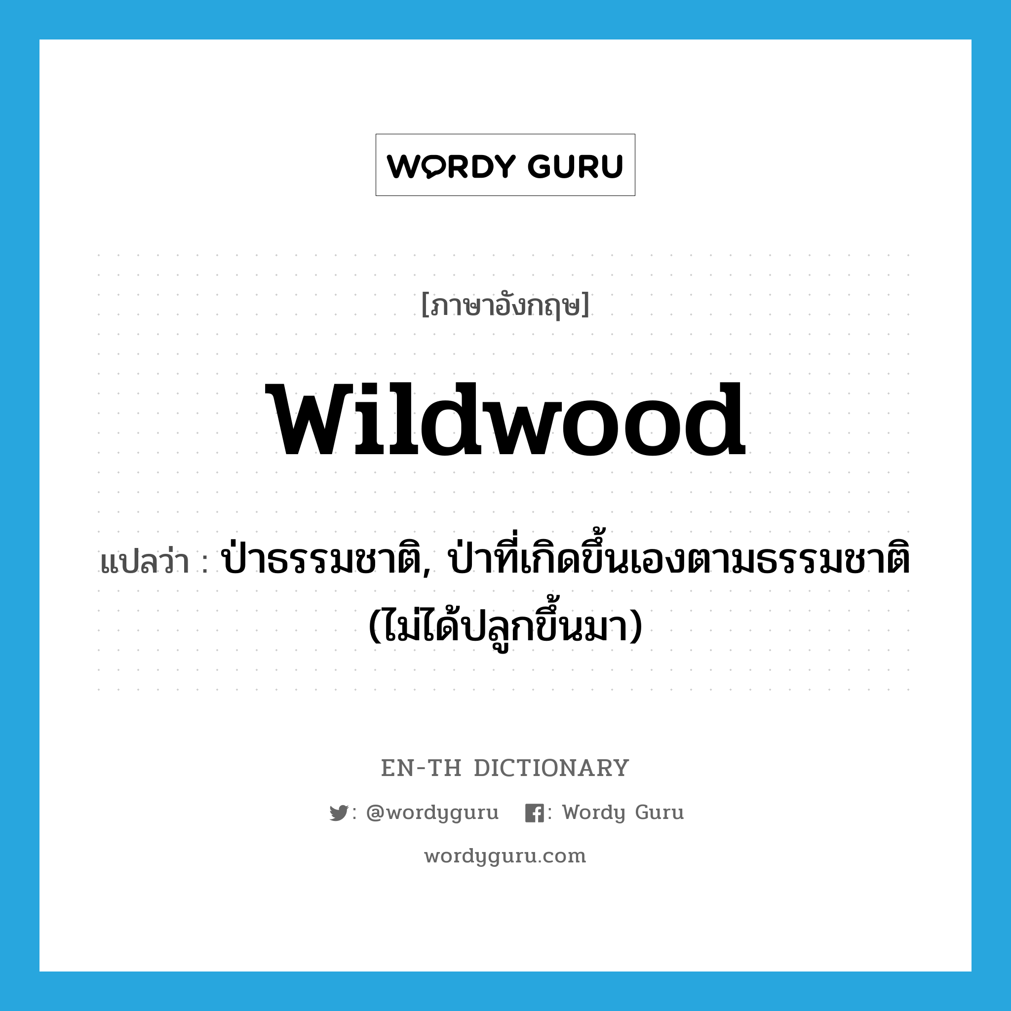 wildwood แปลว่า?, คำศัพท์ภาษาอังกฤษ wildwood แปลว่า ป่าธรรมชาติ, ป่าที่เกิดขึ้นเองตามธรรมชาติ (ไม่ได้ปลูกขึ้นมา) ประเภท N หมวด N