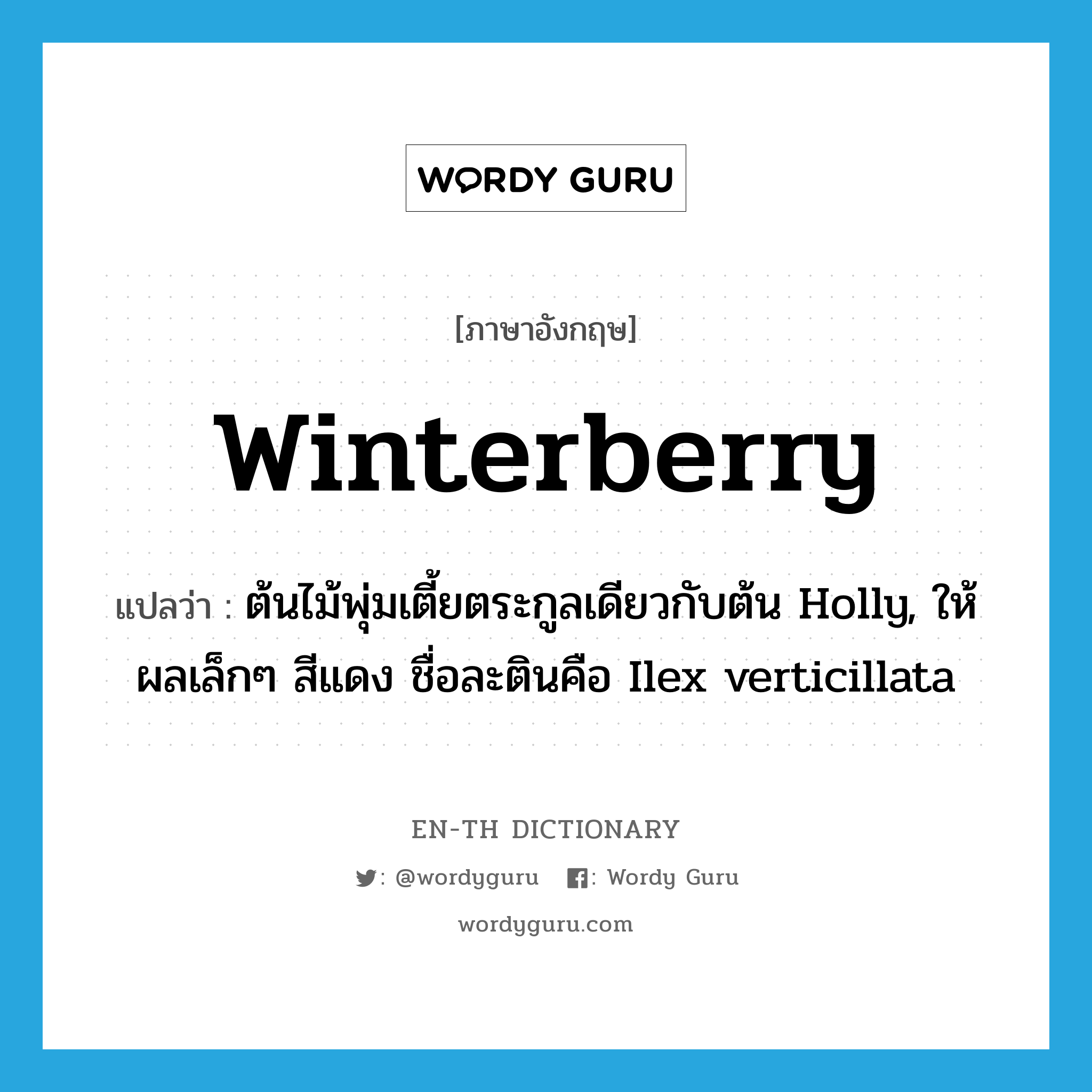 winterberry แปลว่า?, คำศัพท์ภาษาอังกฤษ winterberry แปลว่า ต้นไม้พุ่มเตี้ยตระกูลเดียวกับต้น Holly, ให้ผลเล็กๆ สีแดง ชื่อละตินคือ Ilex verticillata ประเภท N หมวด N