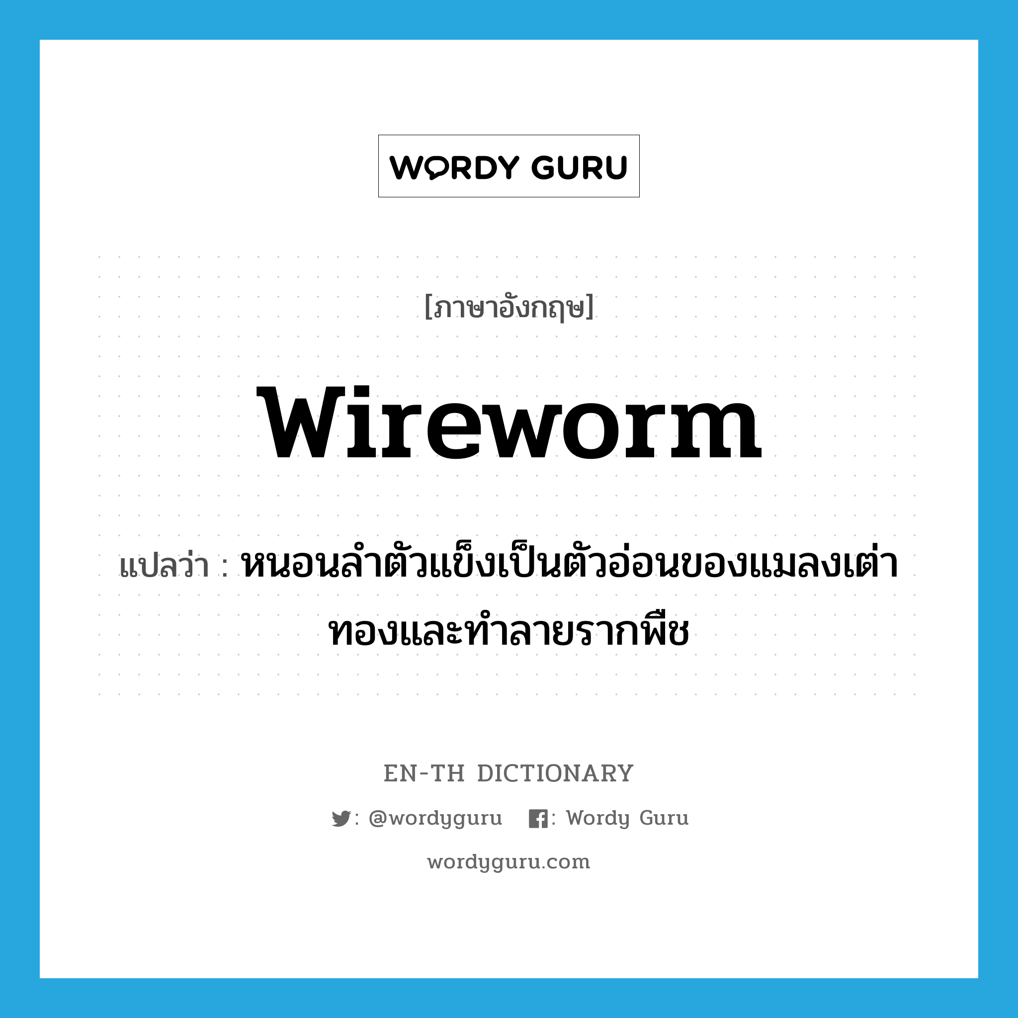 wireworm แปลว่า?, คำศัพท์ภาษาอังกฤษ wireworm แปลว่า หนอนลำตัวแข็งเป็นตัวอ่อนของแมลงเต่าทองและทำลายรากพืช ประเภท N หมวด N