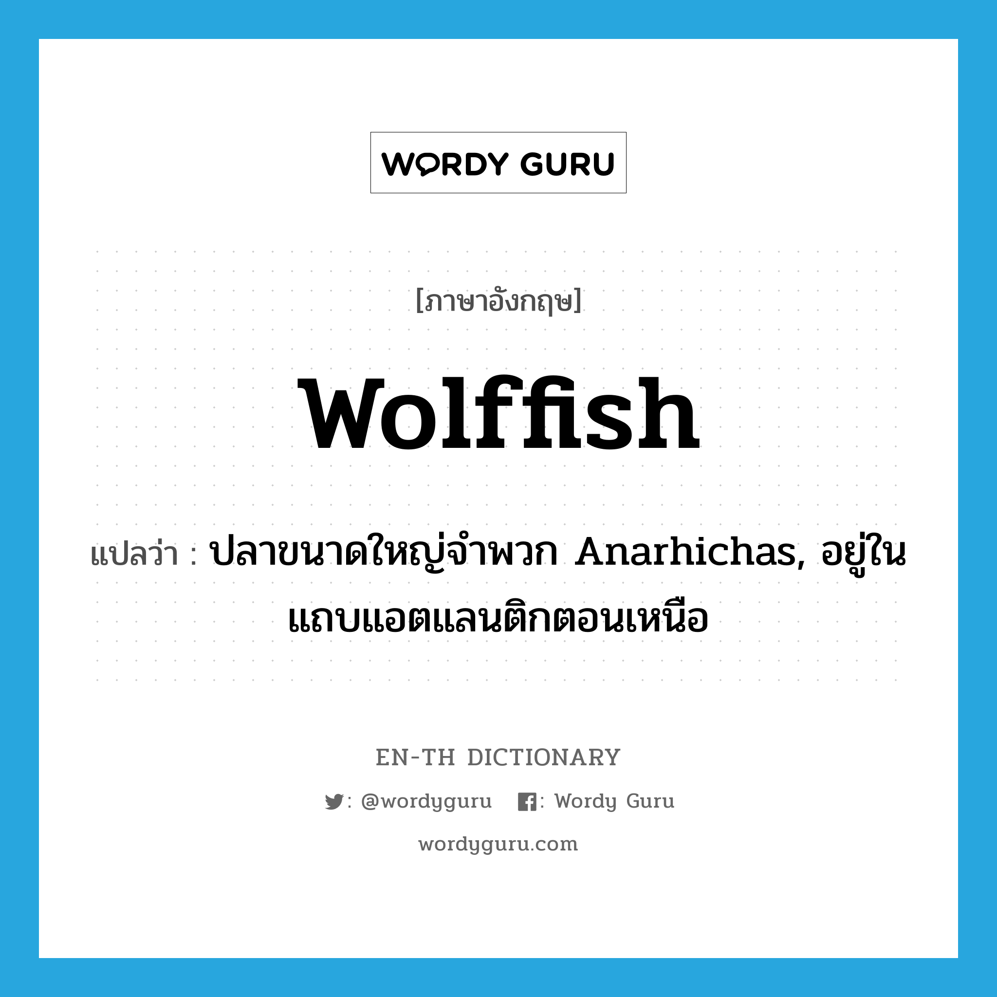 ปลาขนาดใหญ่จำพวก Anarhichas, อยู่ในแถบแอตแลนติกตอนเหนือ ภาษาอังกฤษ?, คำศัพท์ภาษาอังกฤษ ปลาขนาดใหญ่จำพวก Anarhichas, อยู่ในแถบแอตแลนติกตอนเหนือ แปลว่า wolffish ประเภท N หมวด N