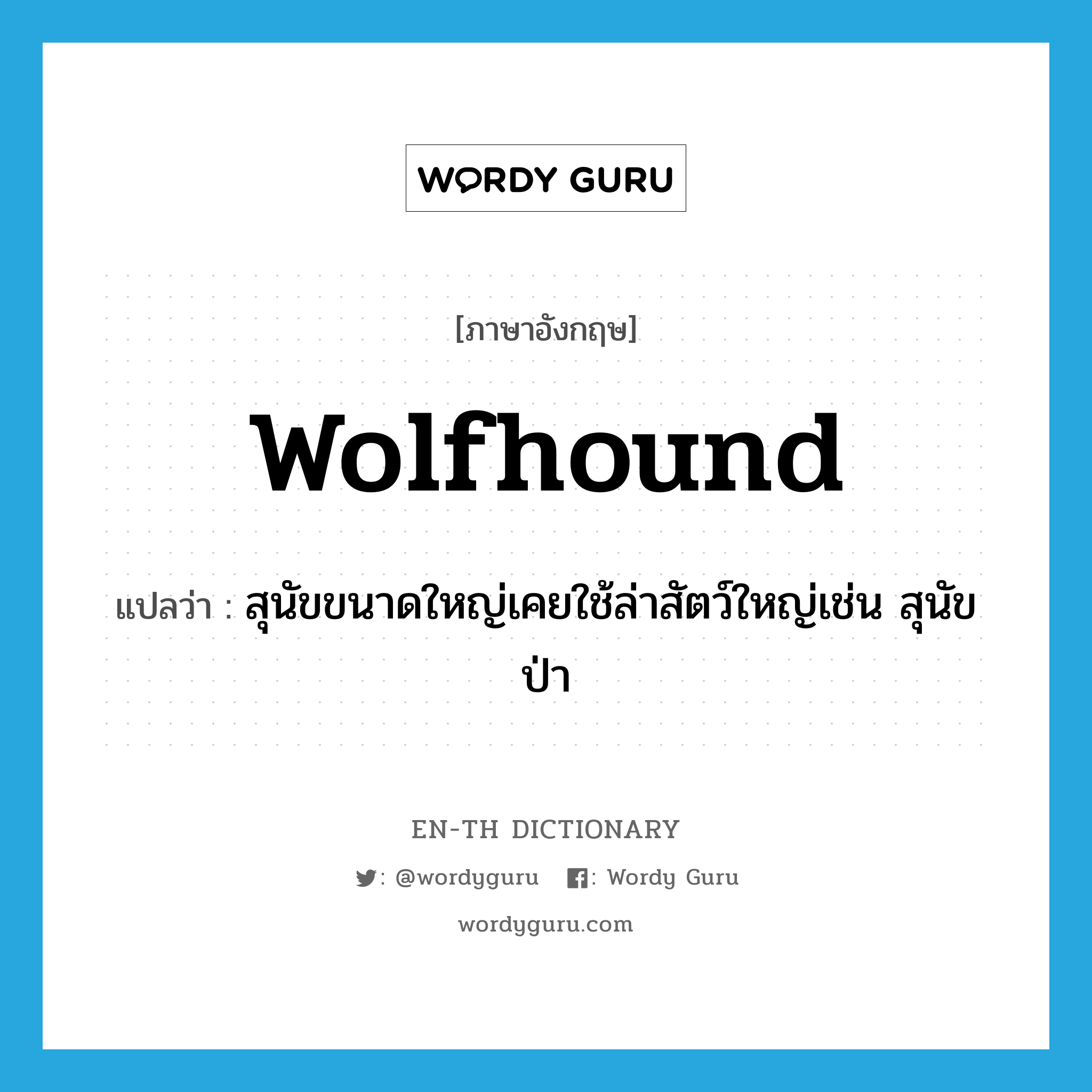 wolfhound แปลว่า?, คำศัพท์ภาษาอังกฤษ wolfhound แปลว่า สุนัขขนาดใหญ่เคยใช้ล่าสัตว์ใหญ่เช่น สุนัขป่า ประเภท N หมวด N