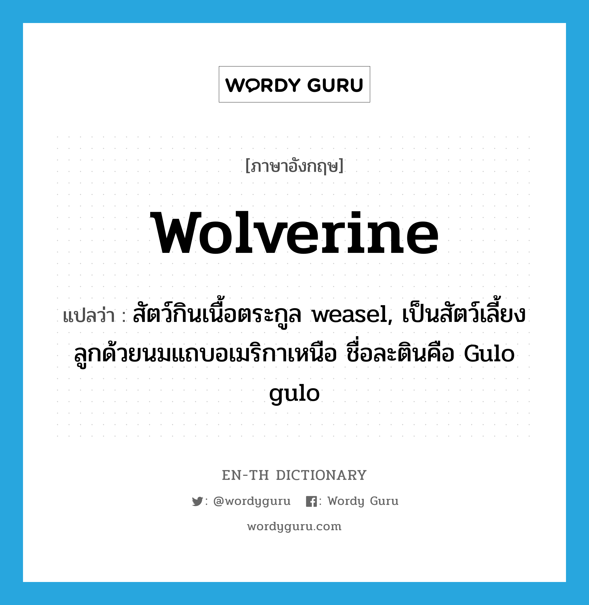 wolverine แปลว่า?, คำศัพท์ภาษาอังกฤษ wolverine แปลว่า สัตว์กินเนื้อตระกูล weasel, เป็นสัตว์เลี้ยงลูกด้วยนมแถบอเมริกาเหนือ ชื่อละตินคือ Gulo gulo ประเภท N หมวด N