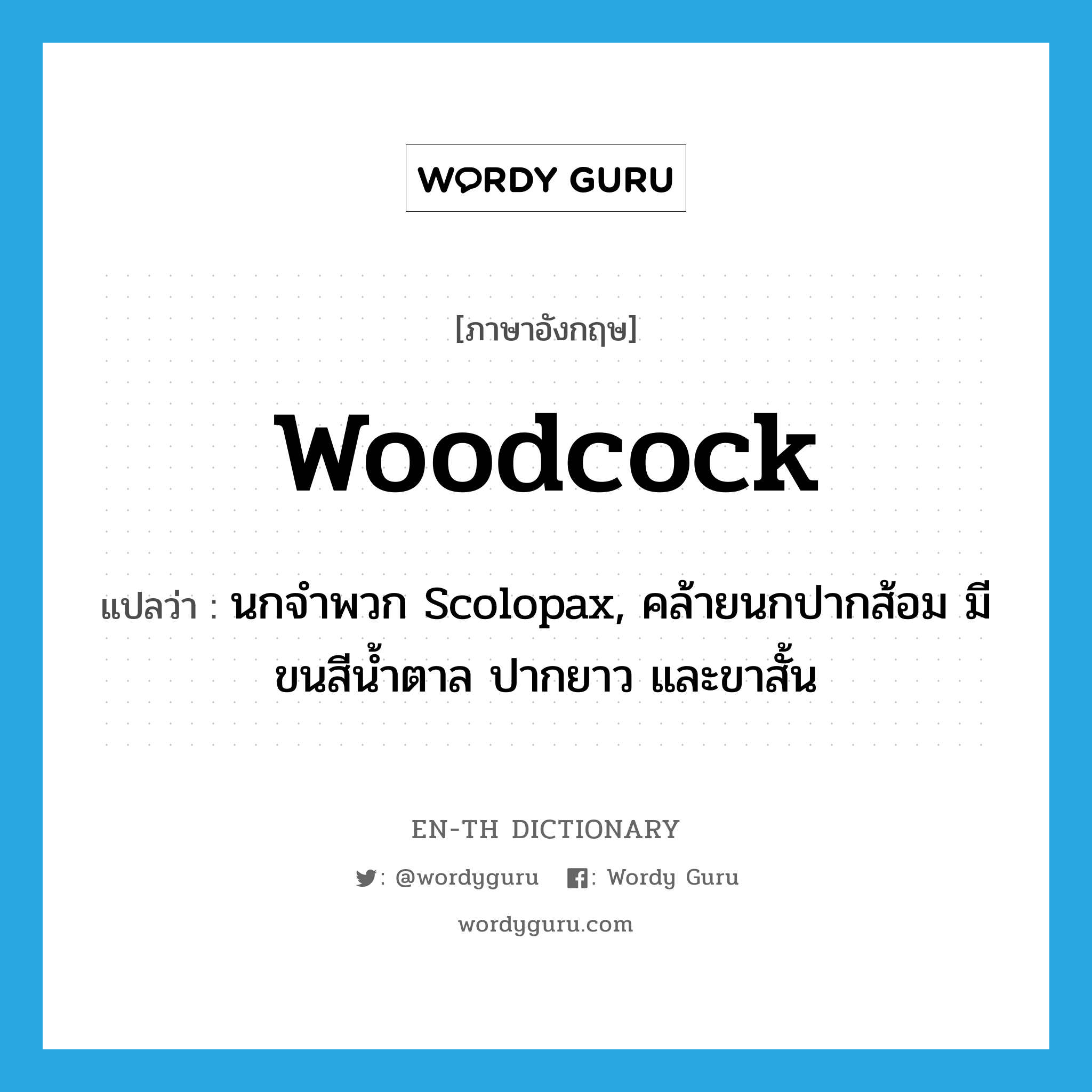 woodcock แปลว่า?, คำศัพท์ภาษาอังกฤษ woodcock แปลว่า นกจำพวก Scolopax, คล้ายนกปากส้อม มีขนสีน้ำตาล ปากยาว และขาสั้น ประเภท N หมวด N