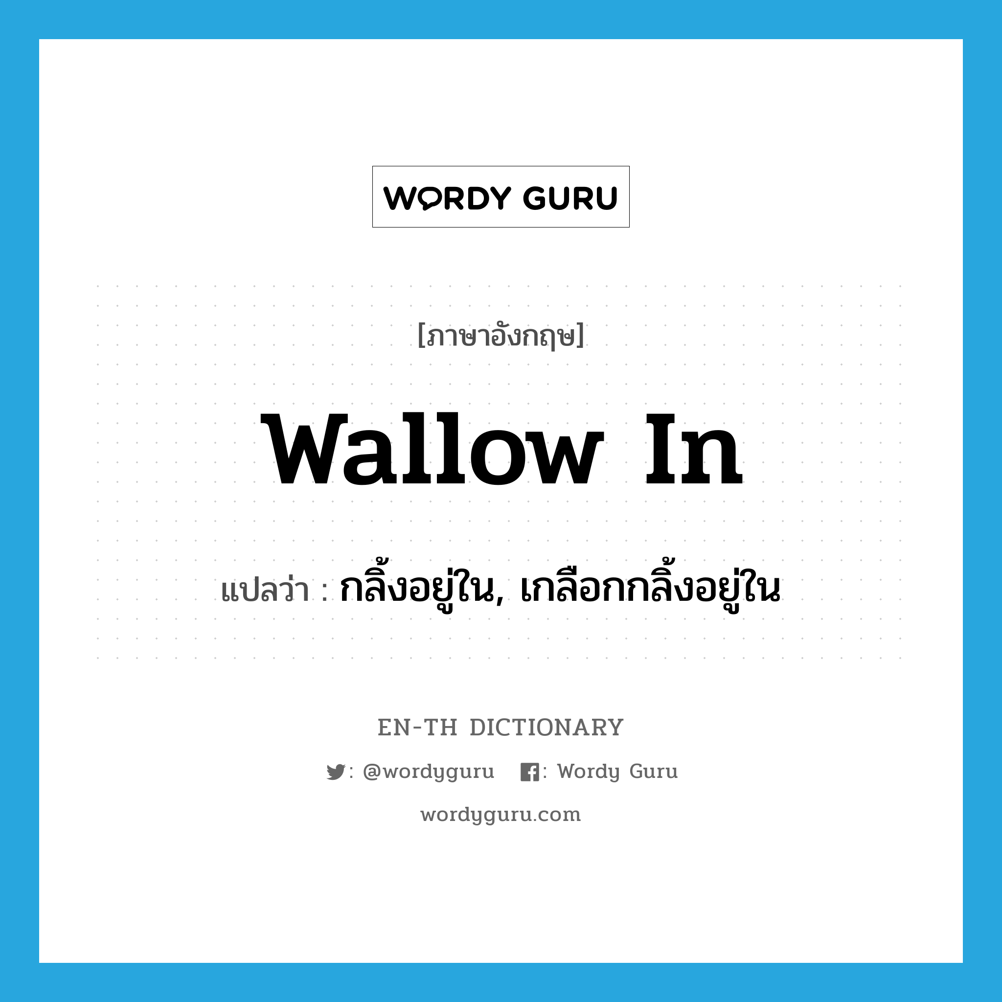 wallow in แปลว่า?, คำศัพท์ภาษาอังกฤษ wallow in แปลว่า กลิ้งอยู่ใน, เกลือกกลิ้งอยู่ใน ประเภท PHRV หมวด PHRV
