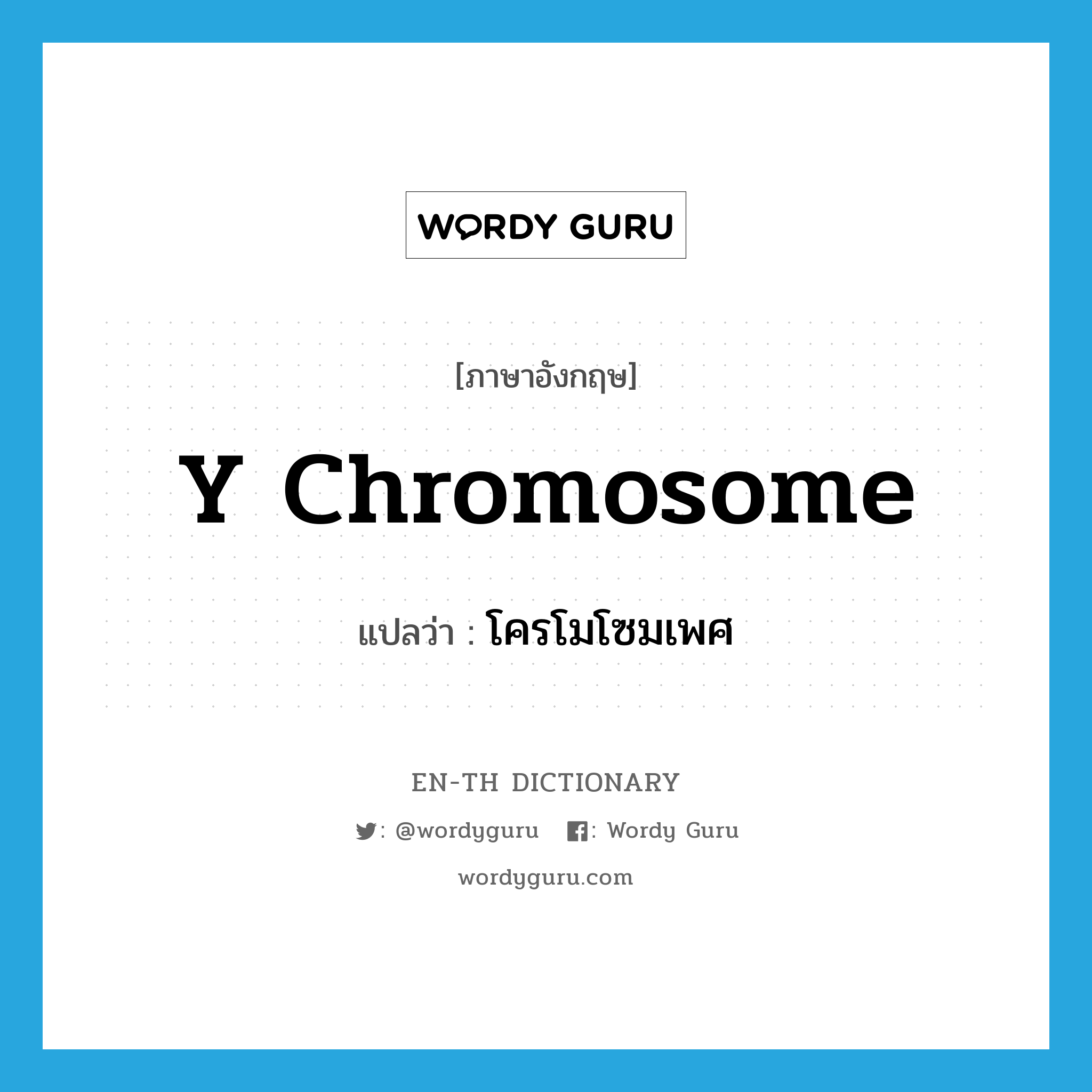 โครโมโซมเพศ ภาษาอังกฤษ?, คำศัพท์ภาษาอังกฤษ โครโมโซมเพศ แปลว่า Y chromosome ประเภท N หมวด N