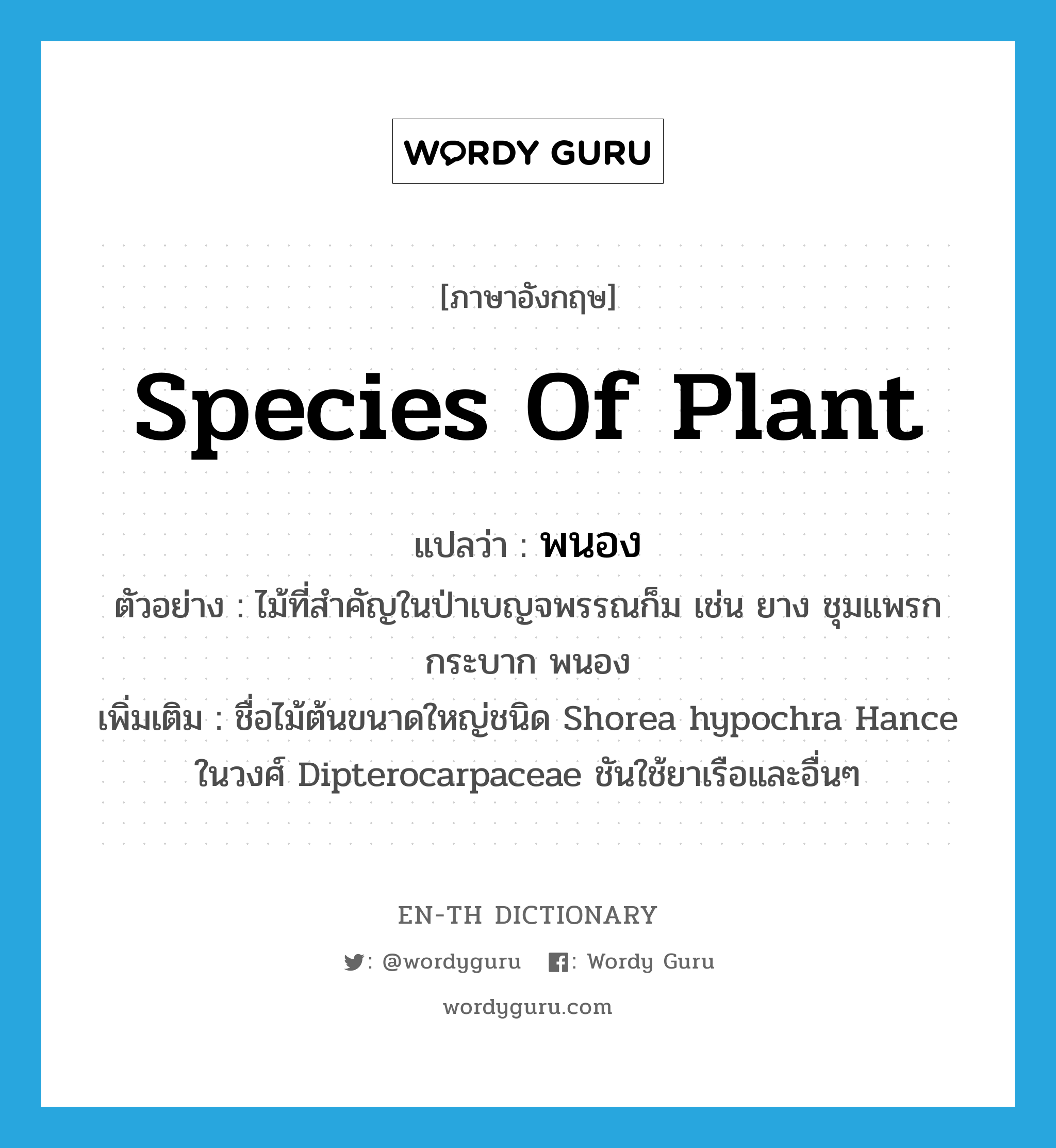 species of plant แปลว่า?, คำศัพท์ภาษาอังกฤษ species of plant แปลว่า พนอง ประเภท N ตัวอย่าง ไม้ที่สำคัญในป่าเบญจพรรณก็ม เช่น ยาง ชุมแพรก กระบาก พนอง เพิ่มเติม ชื่อไม้ต้นขนาดใหญ่ชนิด Shorea hypochra Hance ในวงศ์ Dipterocarpaceae ชันใช้ยาเรือและอื่นๆ หมวด N