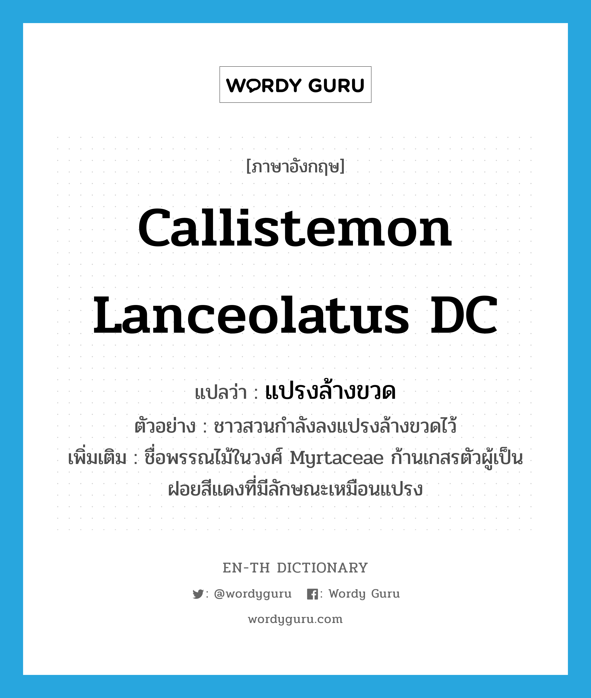 callistemon lanceolatus DC แปลว่า?, คำศัพท์ภาษาอังกฤษ callistemon lanceolatus DC แปลว่า แปรงล้างขวด ประเภท N ตัวอย่าง ชาวสวนกำลังลงแปรงล้างขวดไว้ เพิ่มเติม ชื่อพรรณไม้ในวงศ์ Myrtaceae ก้านเกสรตัวผู้เป็นฝอยสีแดงที่มีลักษณะเหมือนแปรง หมวด N