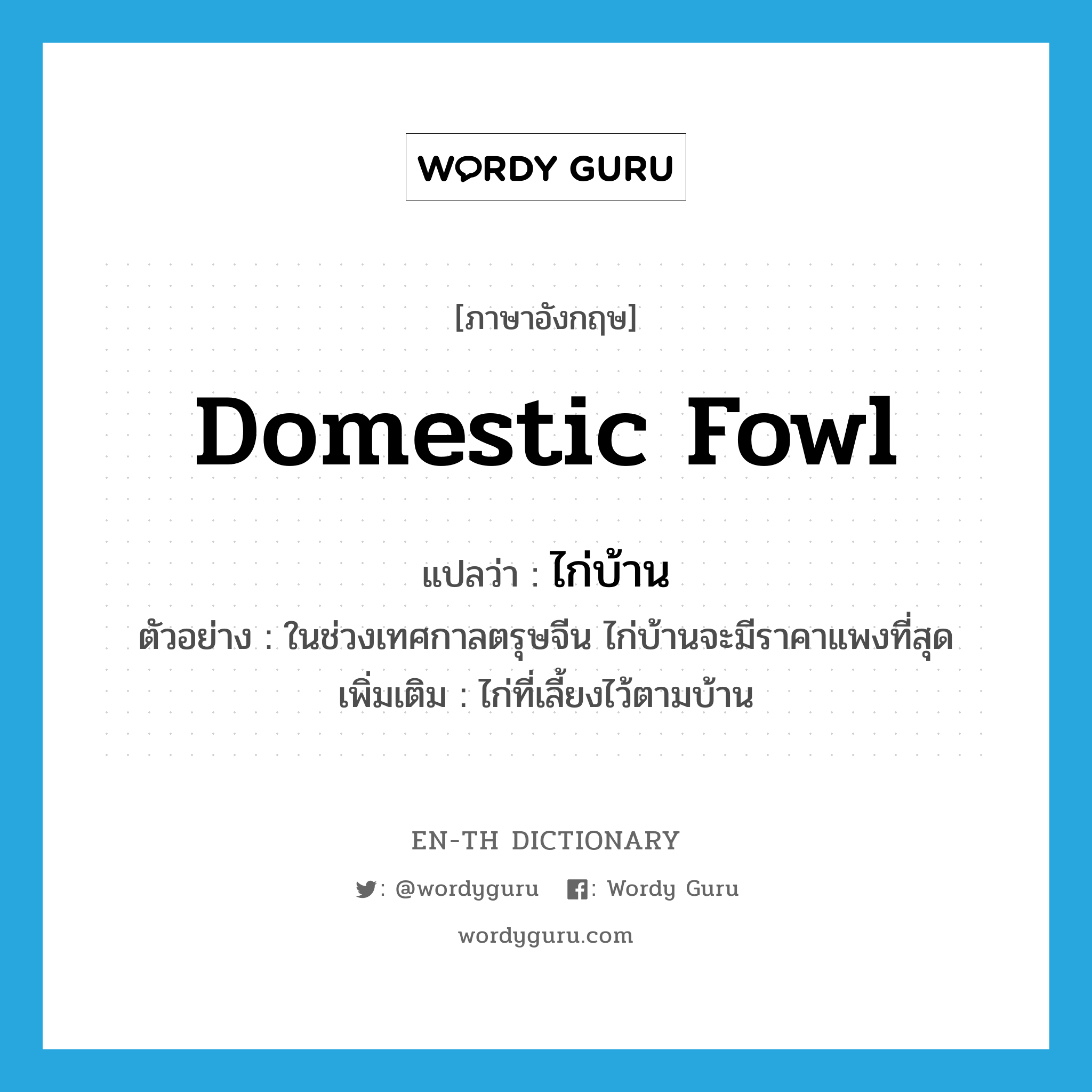 domestic fowl แปลว่า?, คำศัพท์ภาษาอังกฤษ domestic fowl แปลว่า ไก่บ้าน ประเภท N ตัวอย่าง ในช่วงเทศกาลตรุษจีน ไก่บ้านจะมีราคาแพงที่สุด เพิ่มเติม ไก่ที่เลี้ยงไว้ตามบ้าน หมวด N