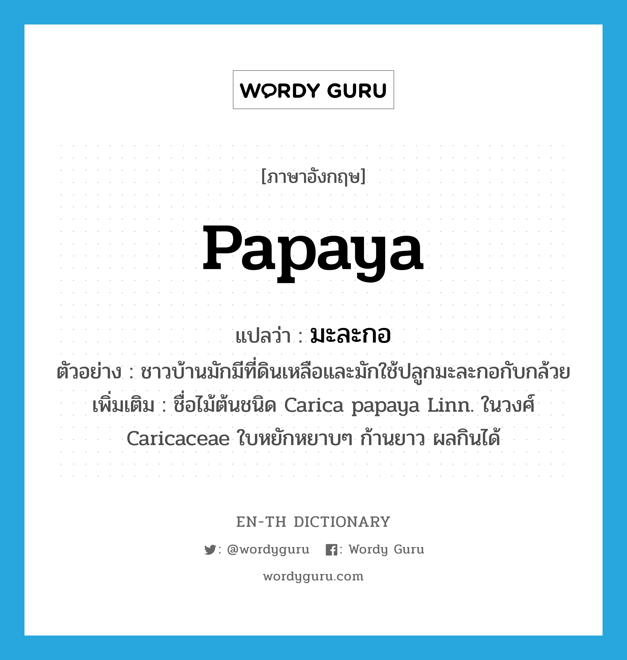 papaya แปลว่า?, คำศัพท์ภาษาอังกฤษ papaya แปลว่า มะละกอ ประเภท N ตัวอย่าง ชาวบ้านมักมีที่ดินเหลือและมักใช้ปลูกมะละกอกับกล้วย เพิ่มเติม ชื่อไม้ต้นชนิด Carica papaya Linn. ในวงศ์ Caricaceae ใบหยักหยาบๆ ก้านยาว ผลกินได้ หมวด N