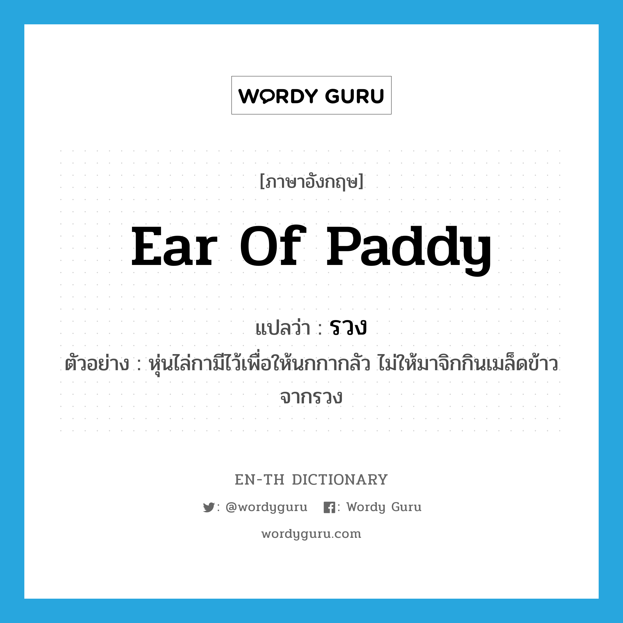 ear of paddy แปลว่า?, คำศัพท์ภาษาอังกฤษ ear of paddy แปลว่า รวง ประเภท N ตัวอย่าง หุ่นไล่กามีไว้เพื่อให้นกกากลัว ไม่ให้มาจิกกินเมล็ดข้าวจากรวง หมวด N