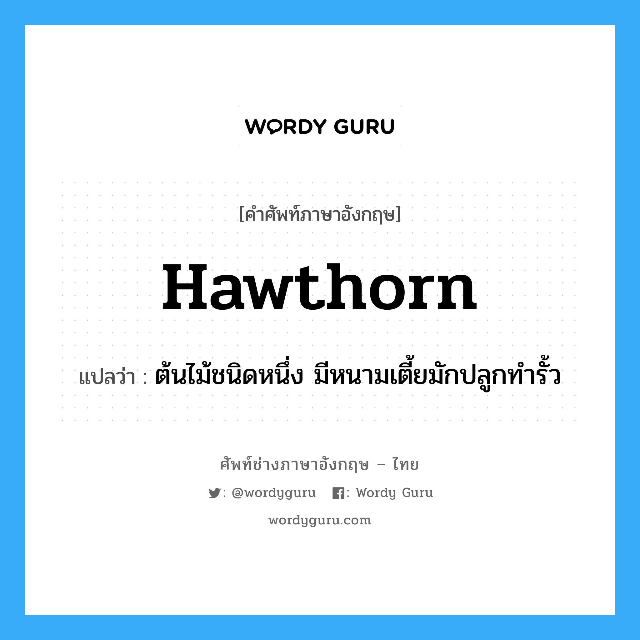 hawthorn แปลว่า?, คำศัพท์ช่างภาษาอังกฤษ - ไทย hawthorn คำศัพท์ภาษาอังกฤษ hawthorn แปลว่า ต้นไม้ชนิดหนึ่ง มีหนามเตี้ยมักปลูกทำรั้ว