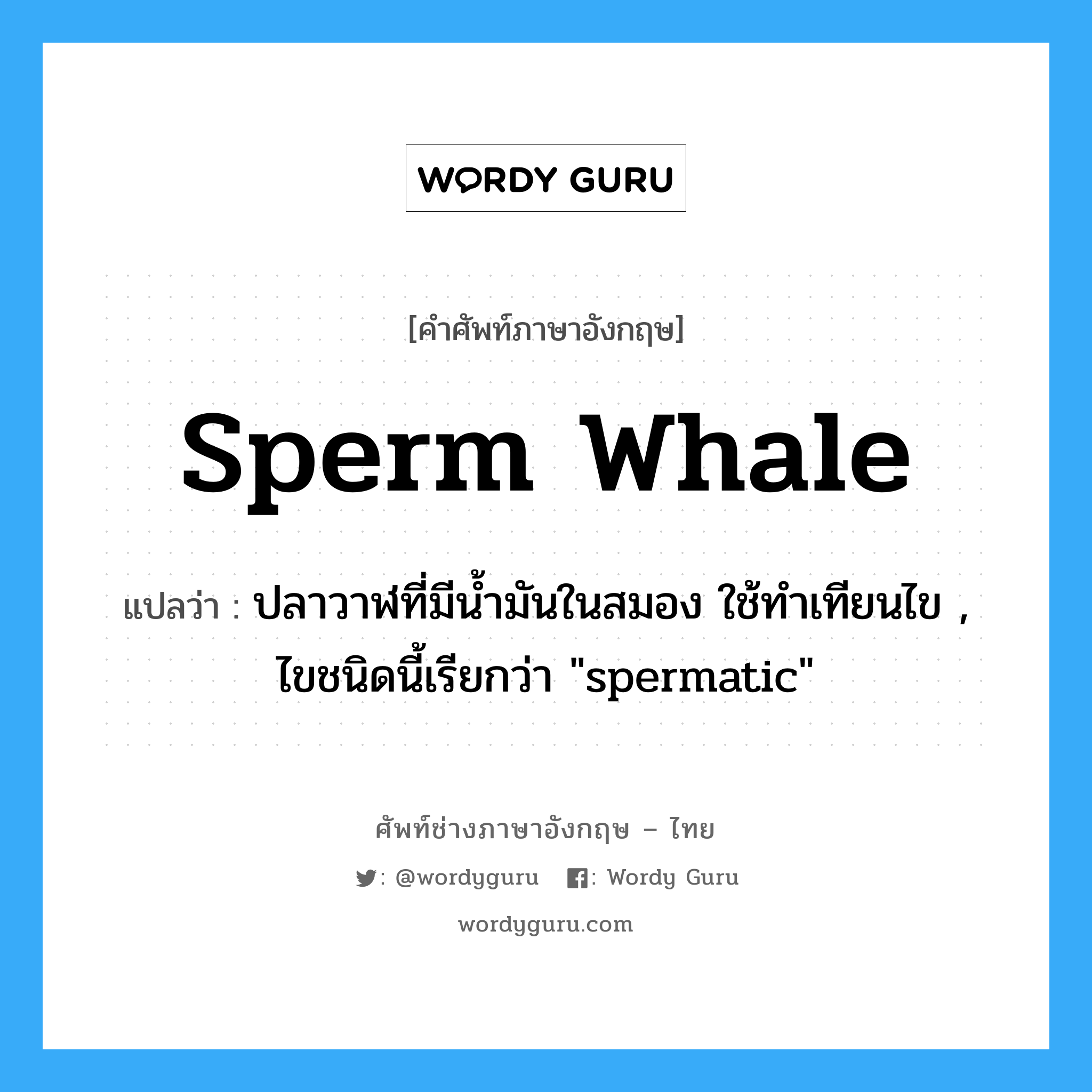 sperm whale แปลว่า?, คำศัพท์ช่างภาษาอังกฤษ - ไทย sperm whale คำศัพท์ภาษาอังกฤษ sperm whale แปลว่า ปลาวาฬที่มีน้ำมันในสมอง ใช้ทำเทียนไข , ไขชนิดนี้เรียกว่า "spermatic"