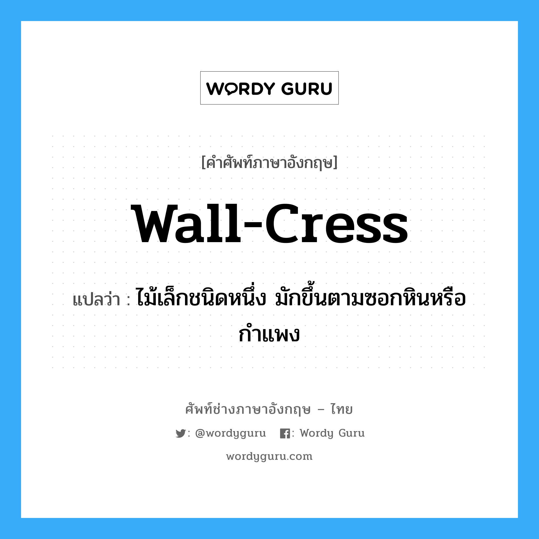 wall-cress แปลว่า?, คำศัพท์ช่างภาษาอังกฤษ - ไทย wall-cress คำศัพท์ภาษาอังกฤษ wall-cress แปลว่า ไม้เล็กชนิดหนึ่ง มักขึ้นตามซอกหินหรือกำแพง