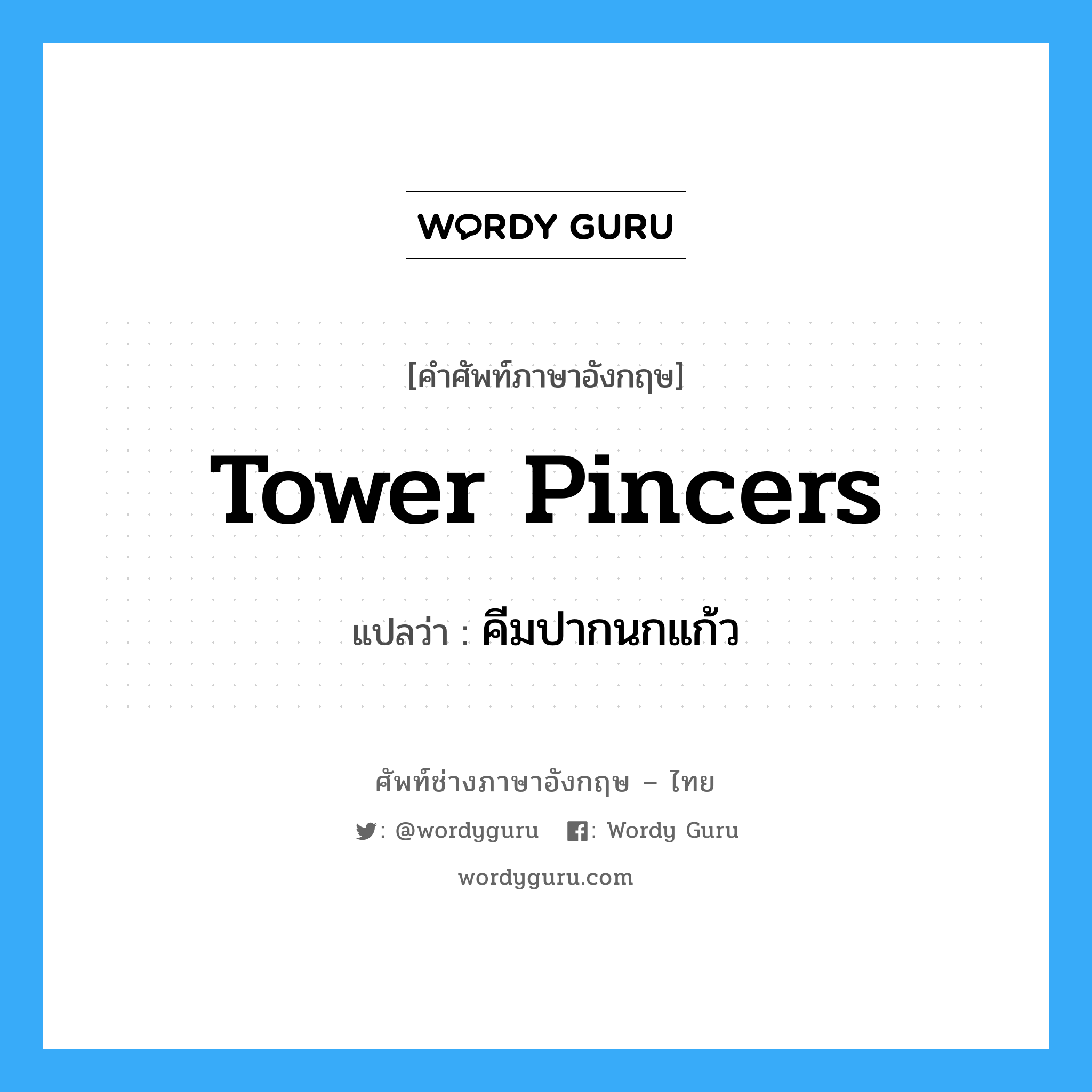 tower pincers แปลว่า?, คำศัพท์ช่างภาษาอังกฤษ - ไทย tower pincers คำศัพท์ภาษาอังกฤษ tower pincers แปลว่า คีมปากนกแก้ว