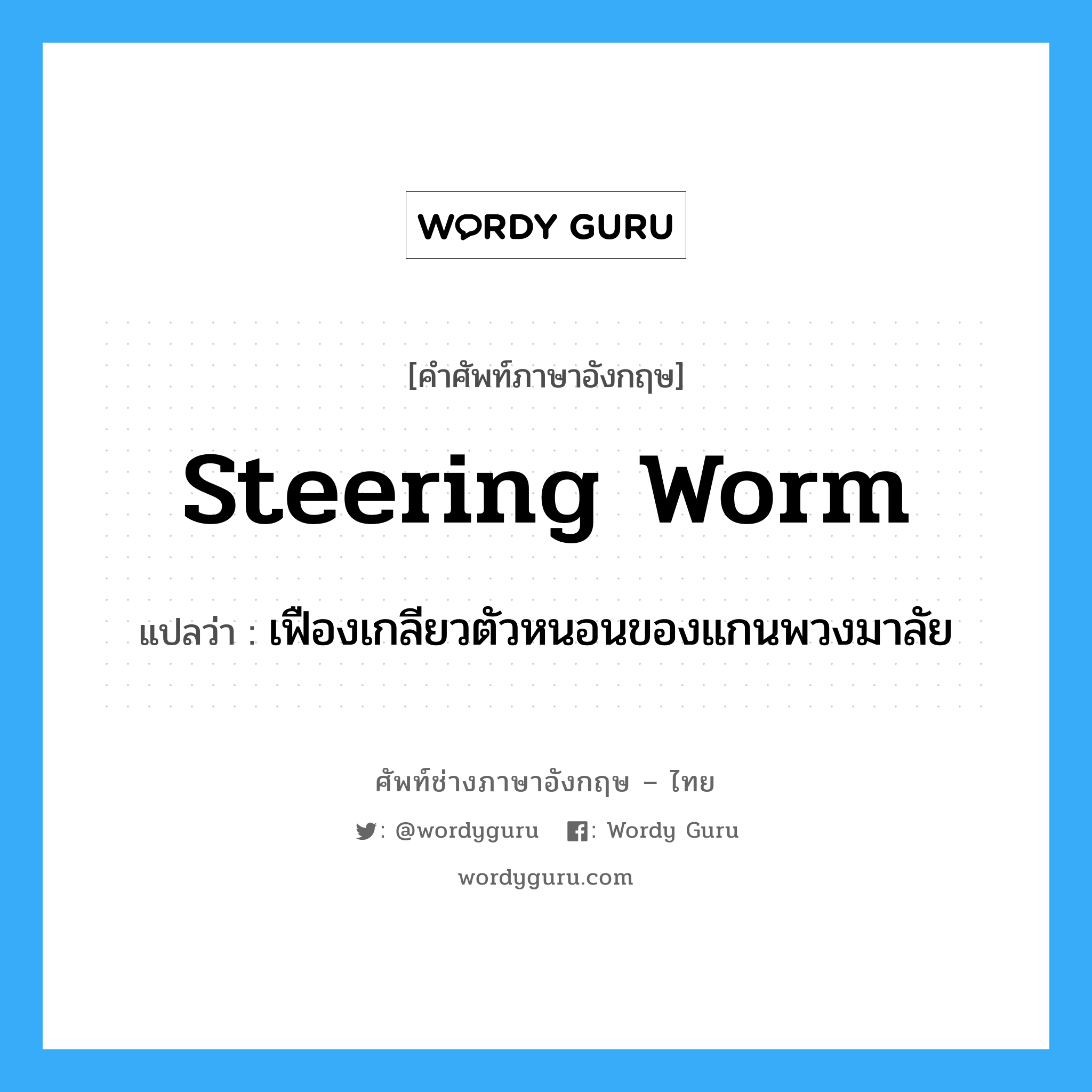 steering worm แปลว่า?, คำศัพท์ช่างภาษาอังกฤษ - ไทย steering worm คำศัพท์ภาษาอังกฤษ steering worm แปลว่า เฟืองเกลียวตัวหนอนของแกนพวงมาลัย