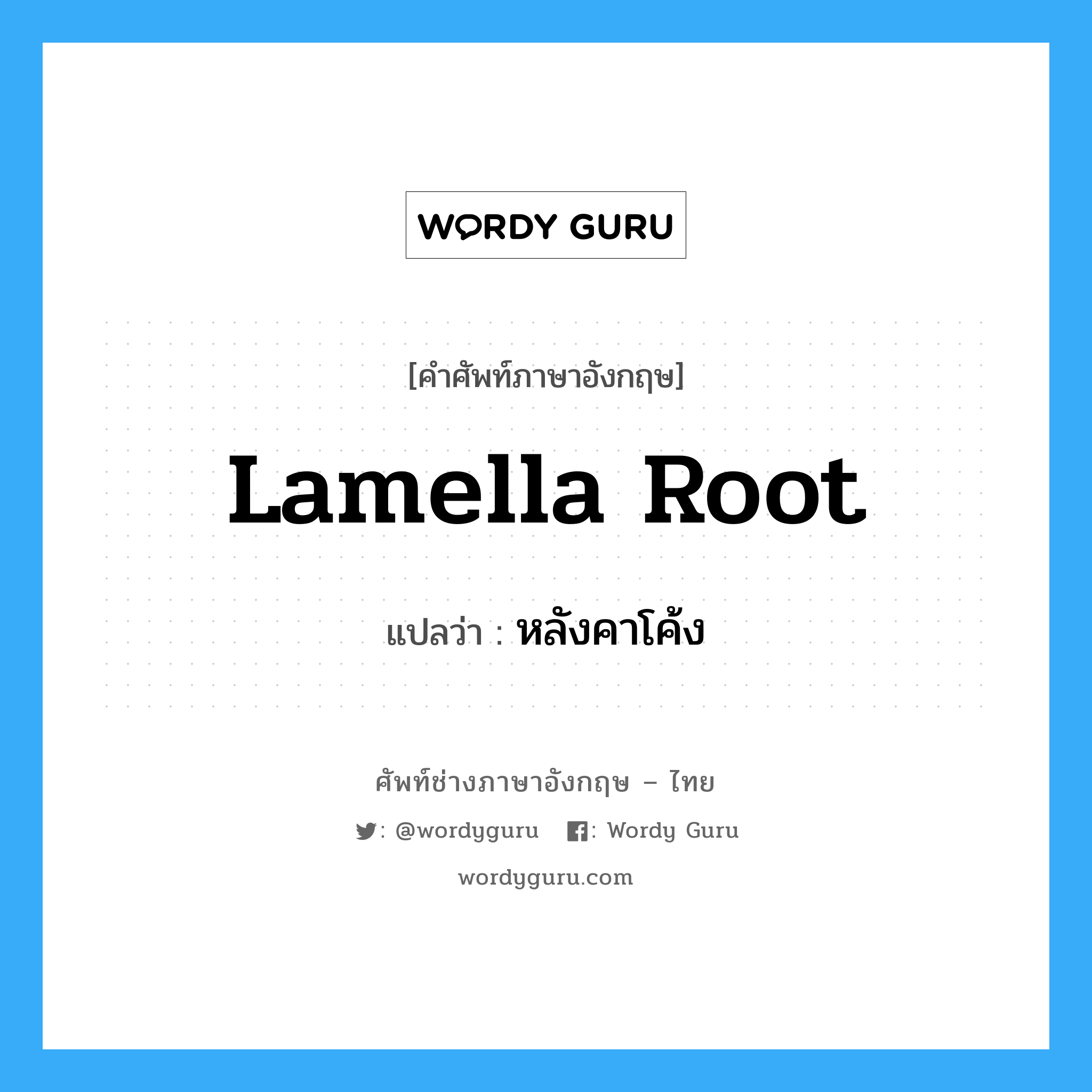 lamella root แปลว่า?, คำศัพท์ช่างภาษาอังกฤษ - ไทย lamella root คำศัพท์ภาษาอังกฤษ lamella root แปลว่า หลังคาโค้ง