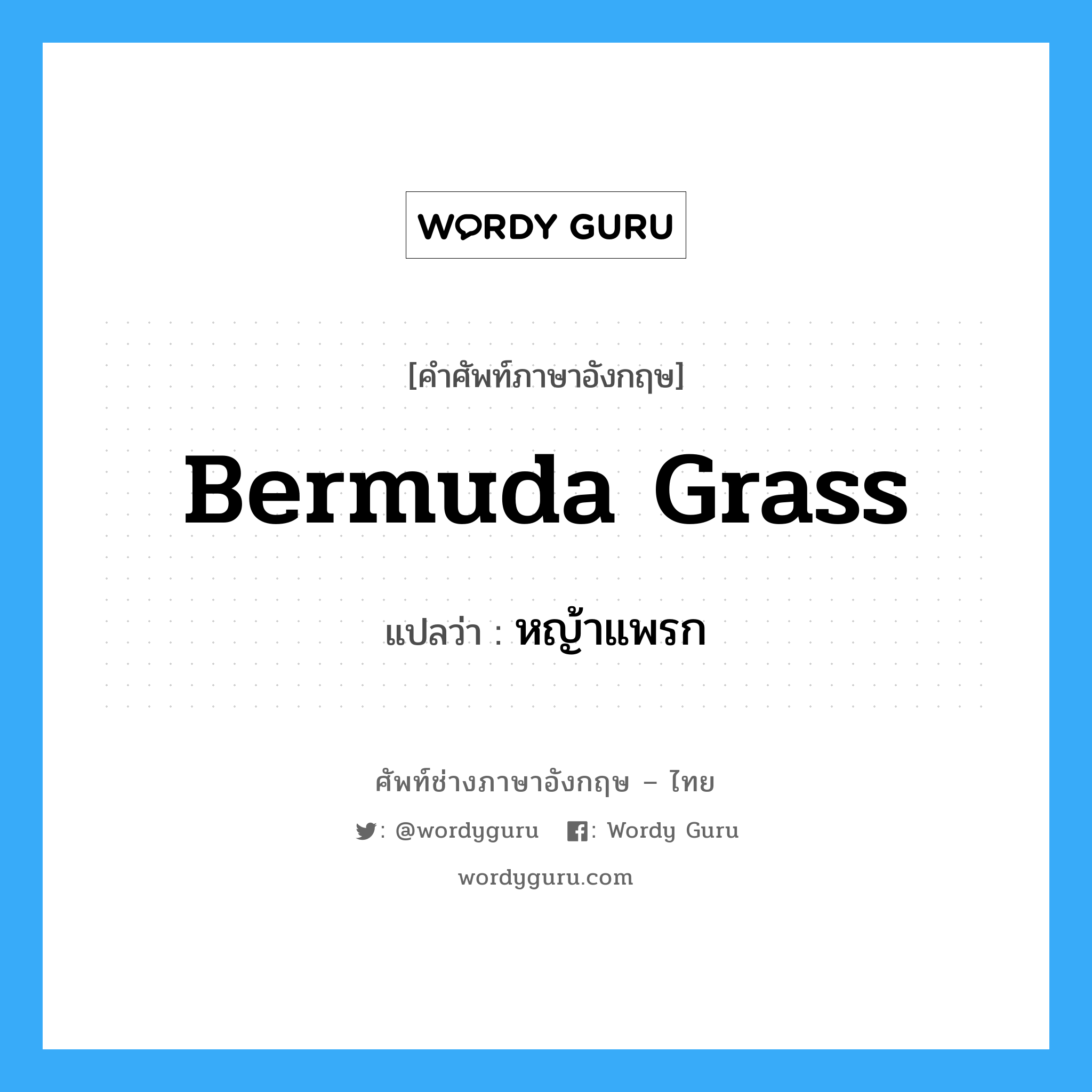 Bermuda grass แปลว่า?, คำศัพท์ช่างภาษาอังกฤษ - ไทย Bermuda grass คำศัพท์ภาษาอังกฤษ Bermuda grass แปลว่า หญ้าแพรก