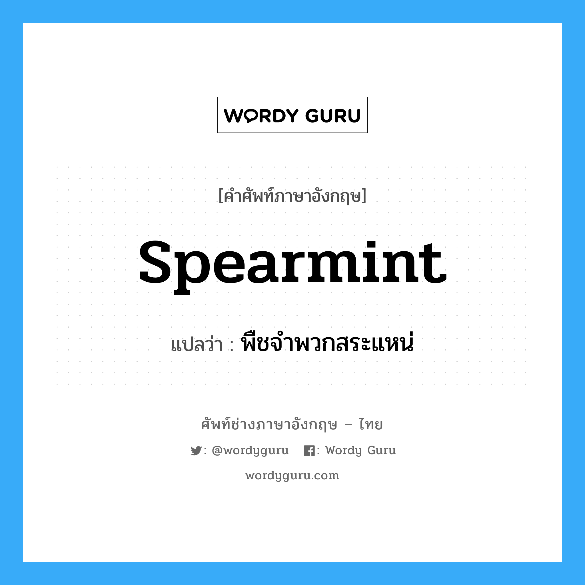 spearmint แปลว่า?, คำศัพท์ช่างภาษาอังกฤษ - ไทย spearmint คำศัพท์ภาษาอังกฤษ spearmint แปลว่า พืชจำพวกสระแหน่