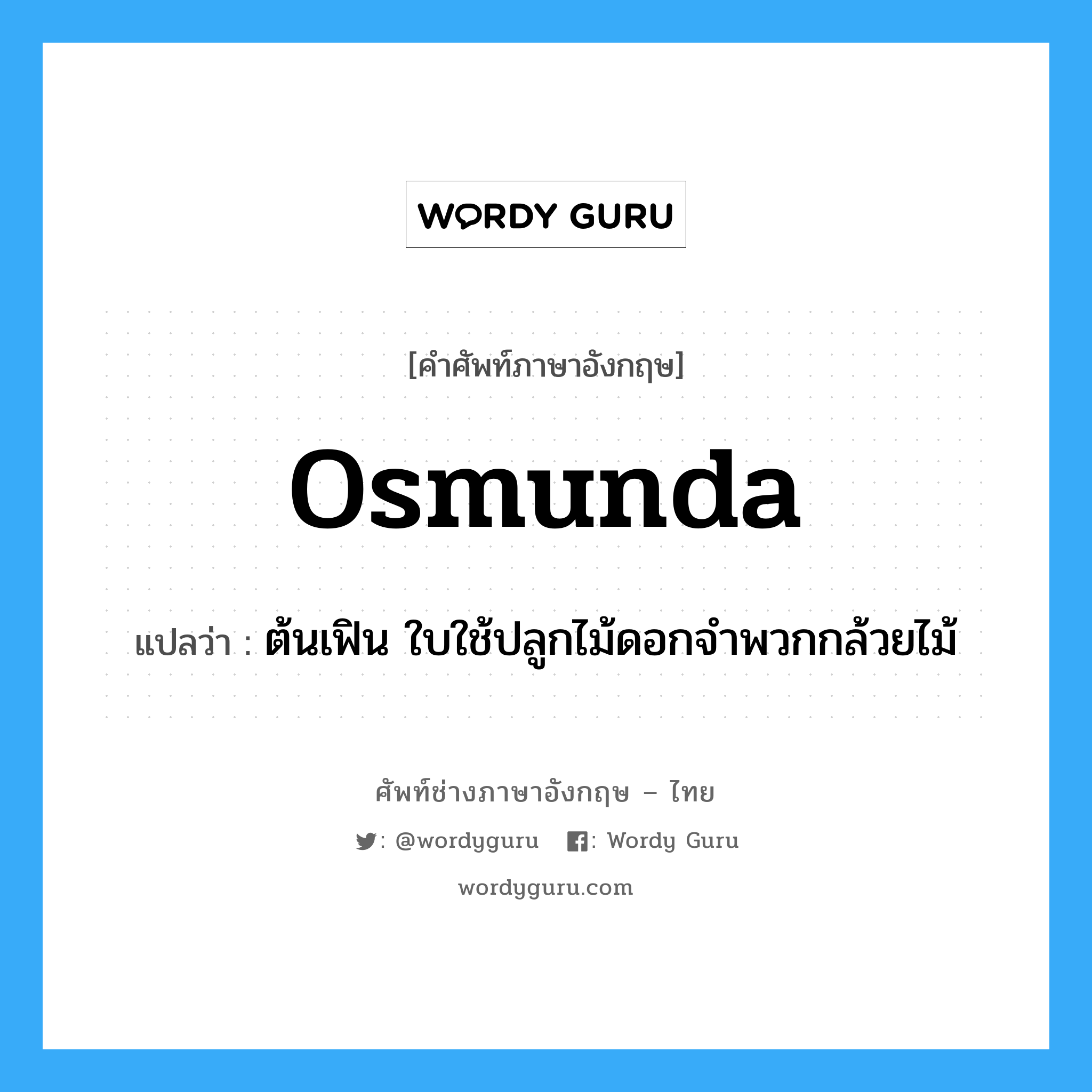 osmunda แปลว่า?, คำศัพท์ช่างภาษาอังกฤษ - ไทย osmunda คำศัพท์ภาษาอังกฤษ osmunda แปลว่า ต้นเฟิน ใบใช้ปลูกไม้ดอกจำพวกกล้วยไม้