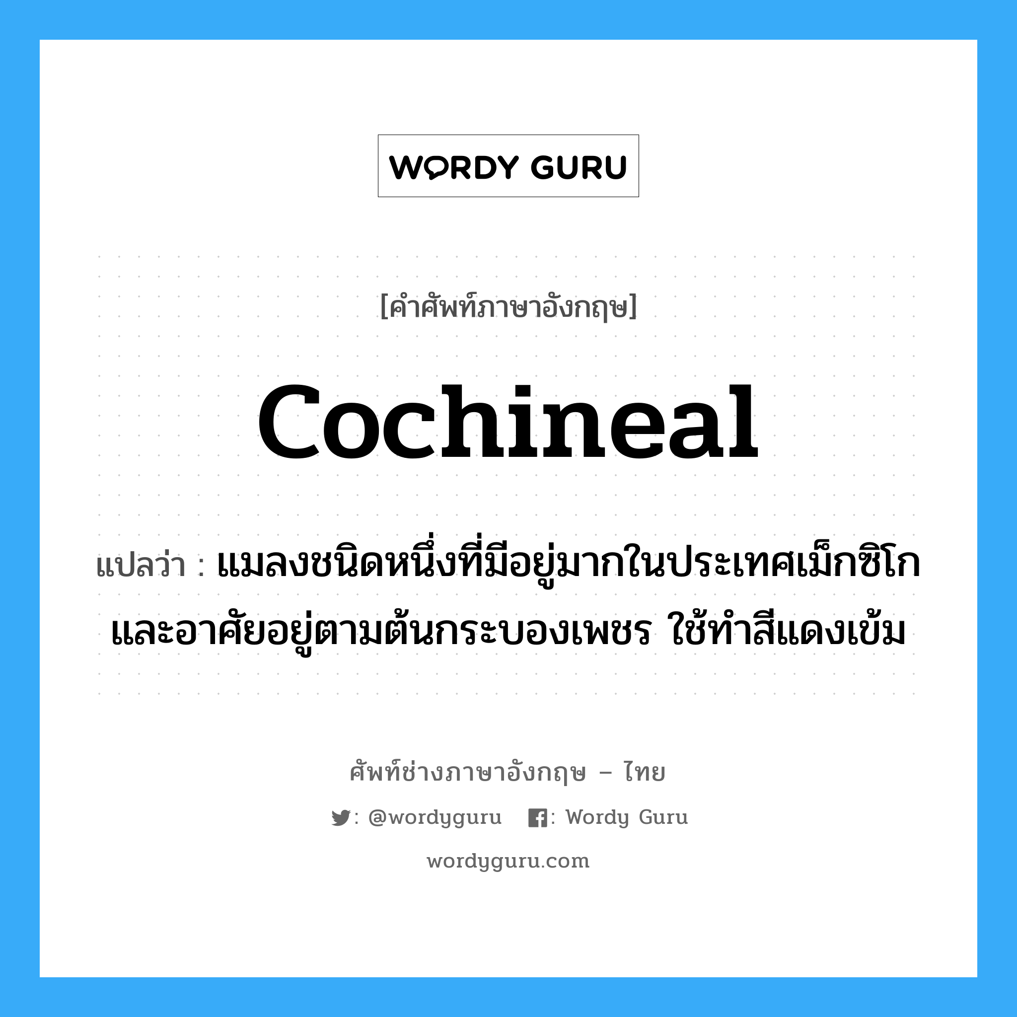 cochineal แปลว่า?, คำศัพท์ช่างภาษาอังกฤษ - ไทย cochineal คำศัพท์ภาษาอังกฤษ cochineal แปลว่า แมลงชนิดหนึ่งที่มีอยู่มากในประเทศเม็กซิโก และอาศัยอยู่ตามต้นกระบองเพชร ใช้ทำสีแดงเข้ม