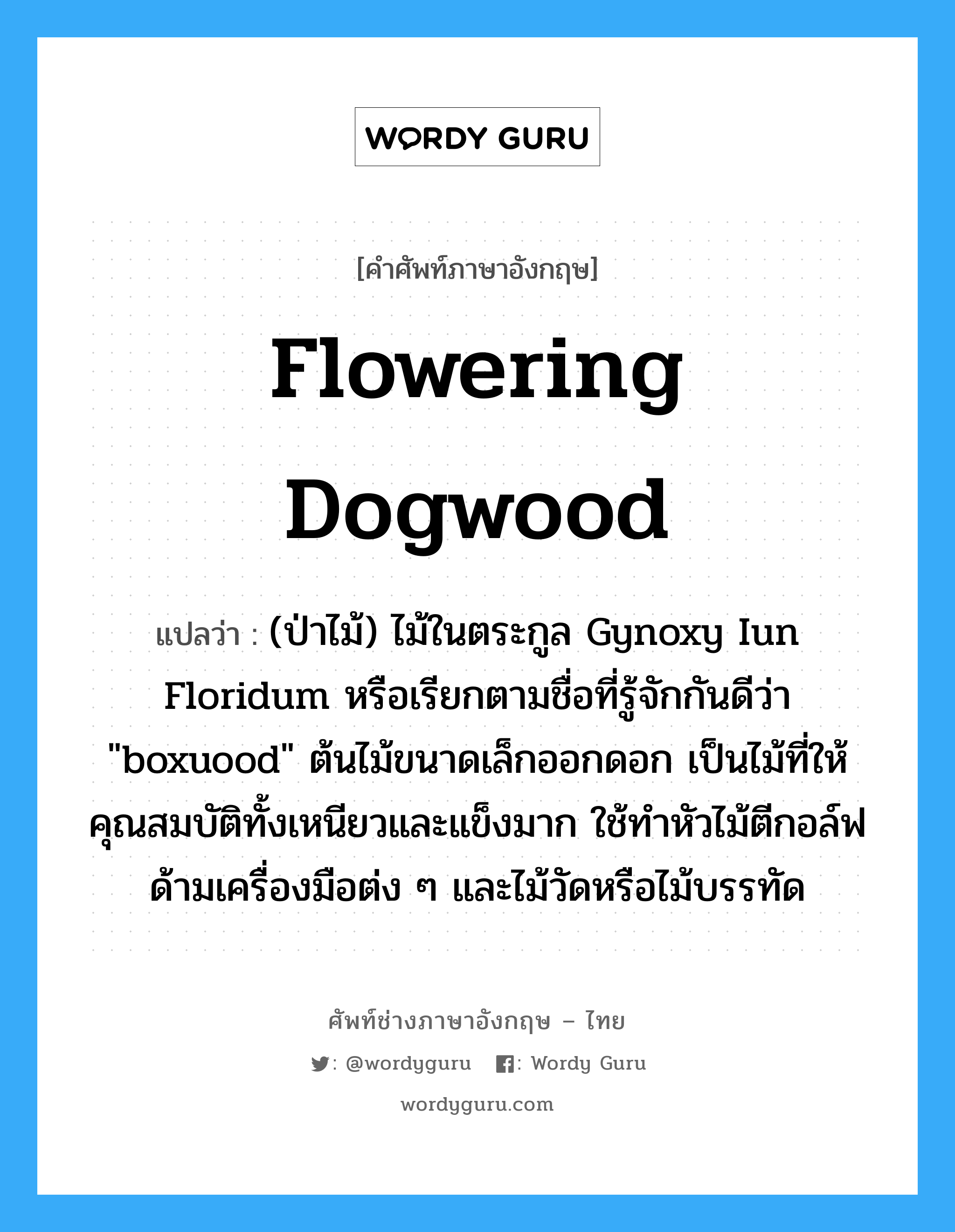 flowering dogwood แปลว่า?, คำศัพท์ช่างภาษาอังกฤษ - ไทย flowering dogwood คำศัพท์ภาษาอังกฤษ flowering dogwood แปลว่า (ป่าไม้) ไม้ในตระกูล Gynoxy Iun Floridum หรือเรียกตามชื่อที่รู้จักกันดีว่า "boxuood" ต้นไม้ขนาดเล็กออกดอก เป็นไม้ที่ให้คุณสมบัติทั้งเหนียวและแข็งมาก ใช้ทำหัวไม้ตีกอล์ฟ ด้ามเครื่องมือต่ง ๆ และไม้วัดหรือไม้บรรทัด