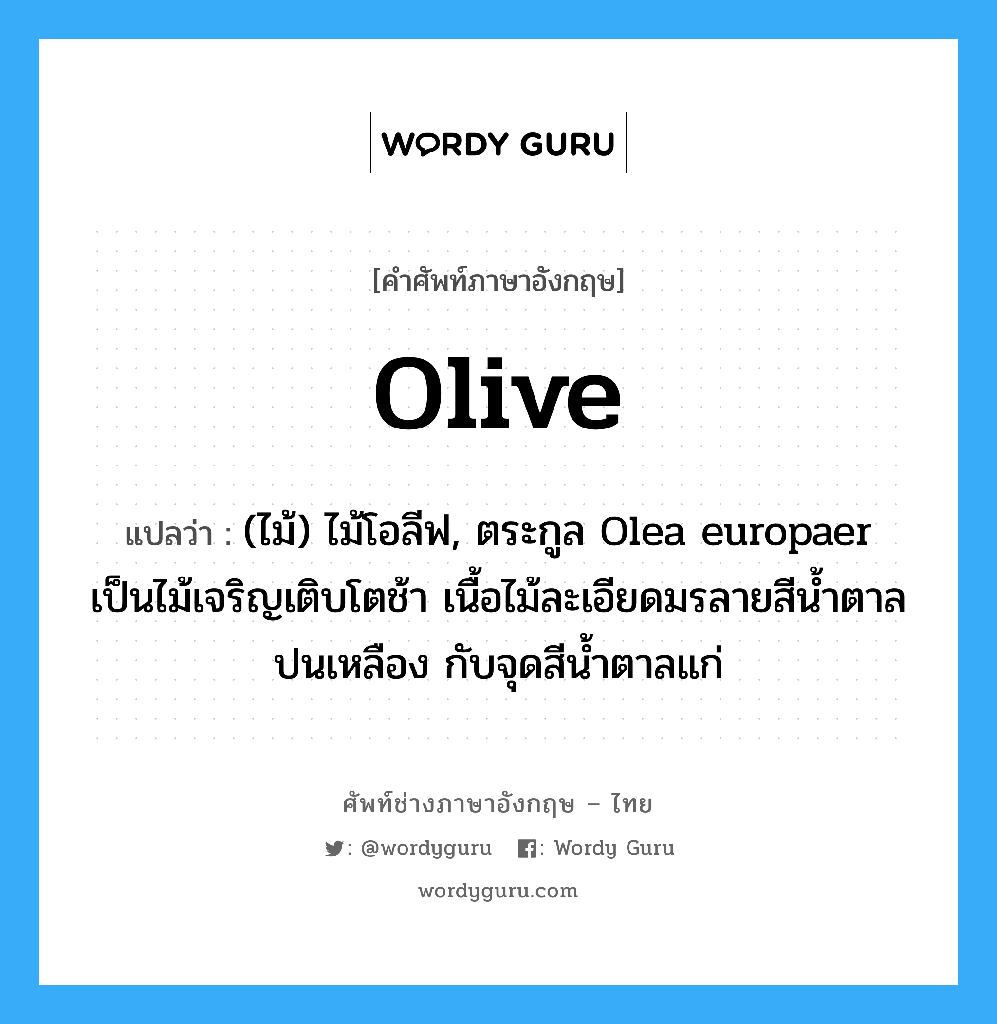 olive แปลว่า?, คำศัพท์ช่างภาษาอังกฤษ - ไทย olive คำศัพท์ภาษาอังกฤษ olive แปลว่า (ไม้) ไม้โอลีฟ, ตระกูล Olea europaer เป็นไม้เจริญเติบโตช้า เนื้อไม้ละเอียดมรลายสีน้ำตาลปนเหลือง กับจุดสีน้ำตาลแก่