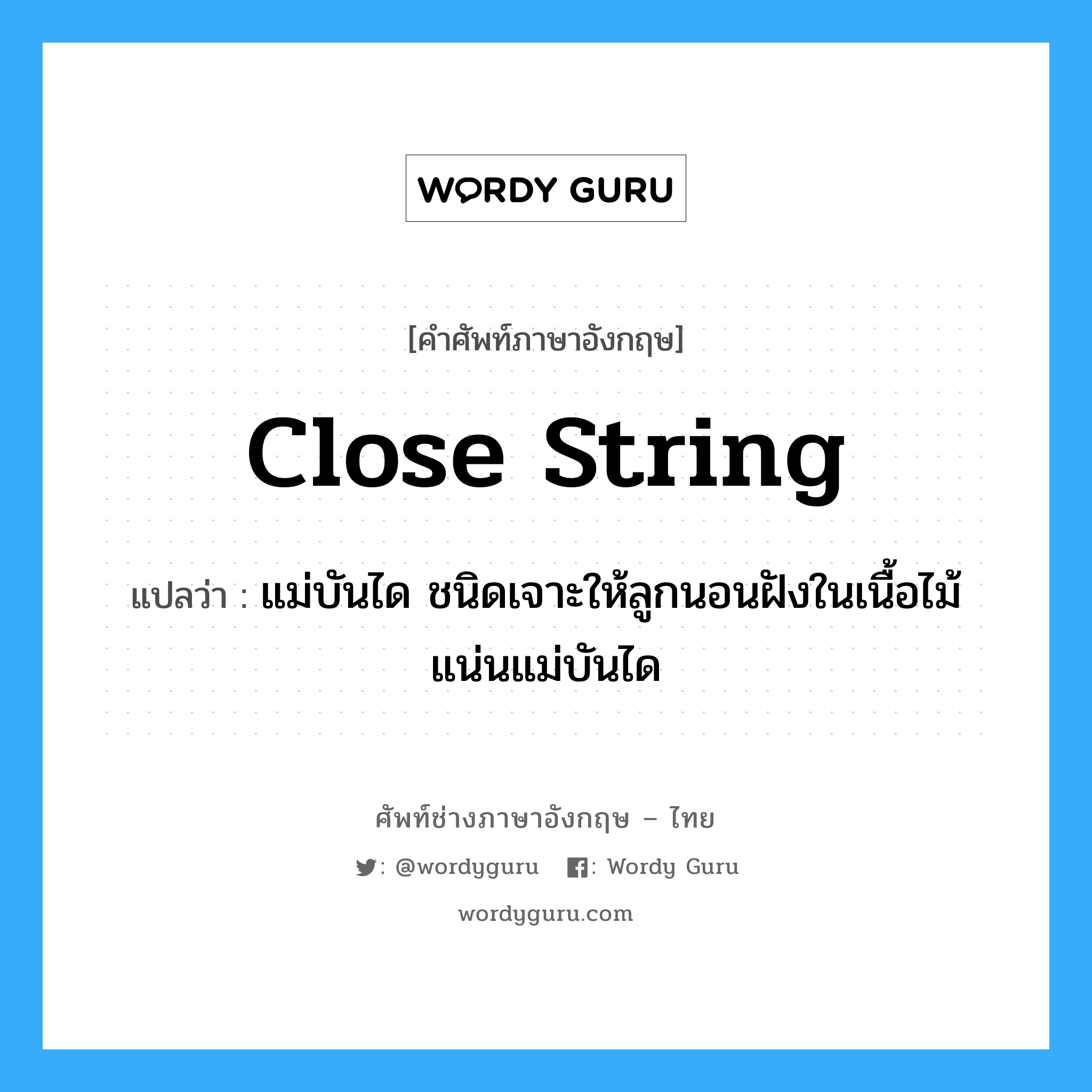 close string แปลว่า?, คำศัพท์ช่างภาษาอังกฤษ - ไทย close string คำศัพท์ภาษาอังกฤษ close string แปลว่า แม่บันได ชนิดเจาะให้ลูกนอนฝังในเนื้อไม้แน่นแม่บันได