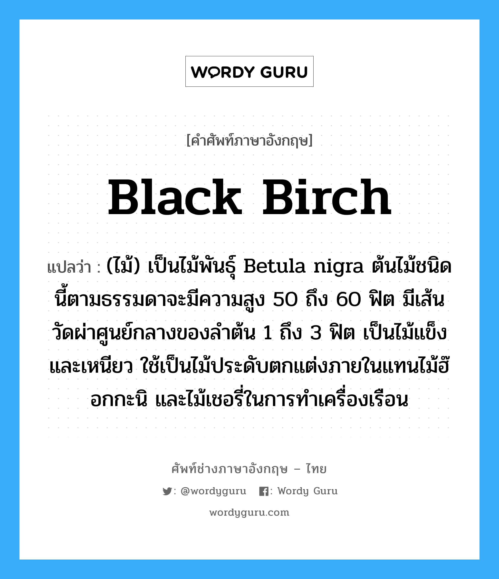 black birch แปลว่า?, คำศัพท์ช่างภาษาอังกฤษ - ไทย black birch คำศัพท์ภาษาอังกฤษ black birch แปลว่า (ไม้) เป็นไม้พันธุ์ Betula nigra ต้นไม้ชนิดนี้ตามธรรมดาจะมีความสูง 50 ถึง 60 ฟิต มีเส้นวัดผ่าศูนย์กลางของลำต้น 1 ถึง 3 ฟิต เป็นไม้แข็งและเหนียว ใช้เป็นไม้ประดับตกแต่งภายในแทนไม้ฮ๊อกกะนิ และไม้เชอรี่ในการทำเครื่องเรือน