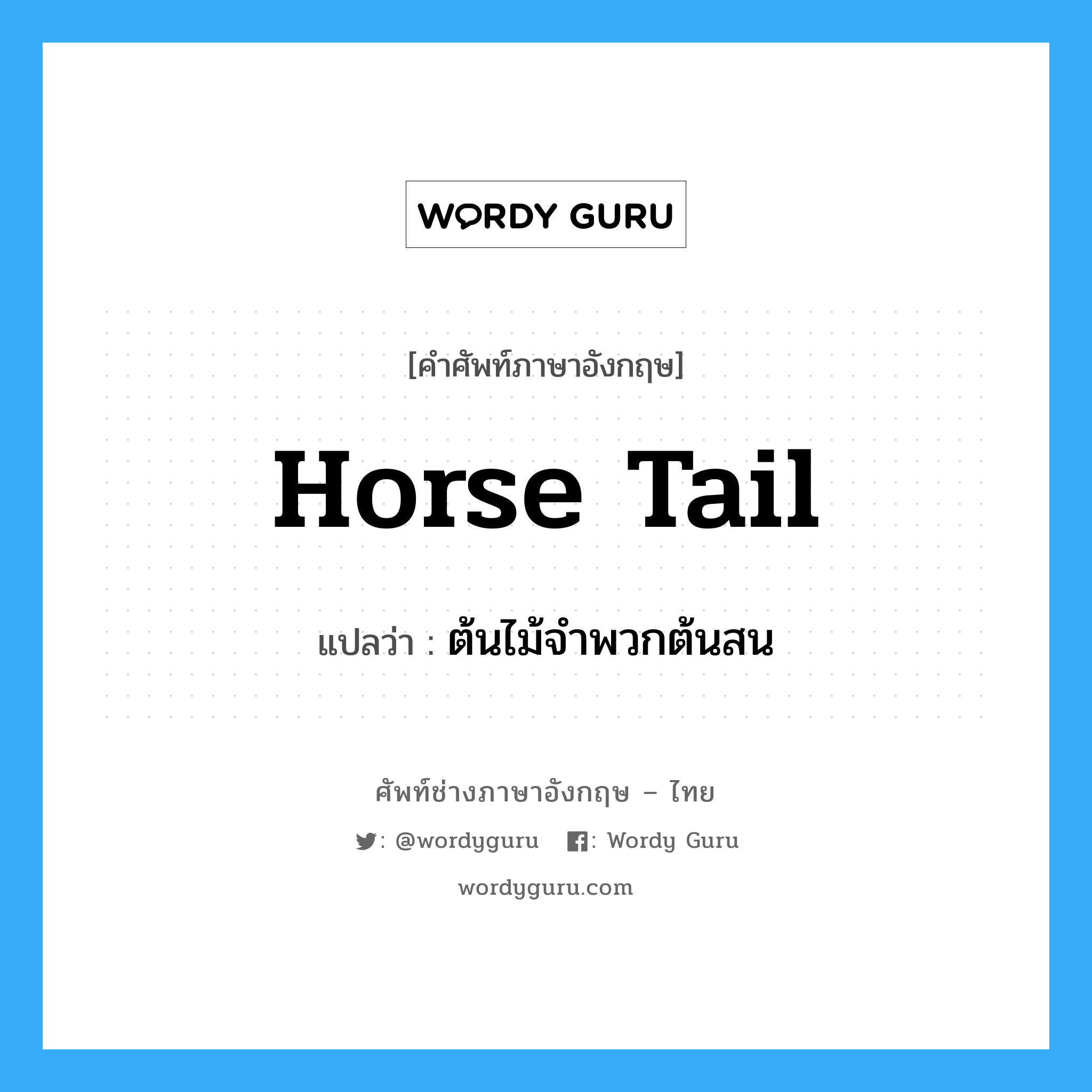 horse tail แปลว่า?, คำศัพท์ช่างภาษาอังกฤษ - ไทย horse tail คำศัพท์ภาษาอังกฤษ horse tail แปลว่า ต้นไม้จำพวกต้นสน