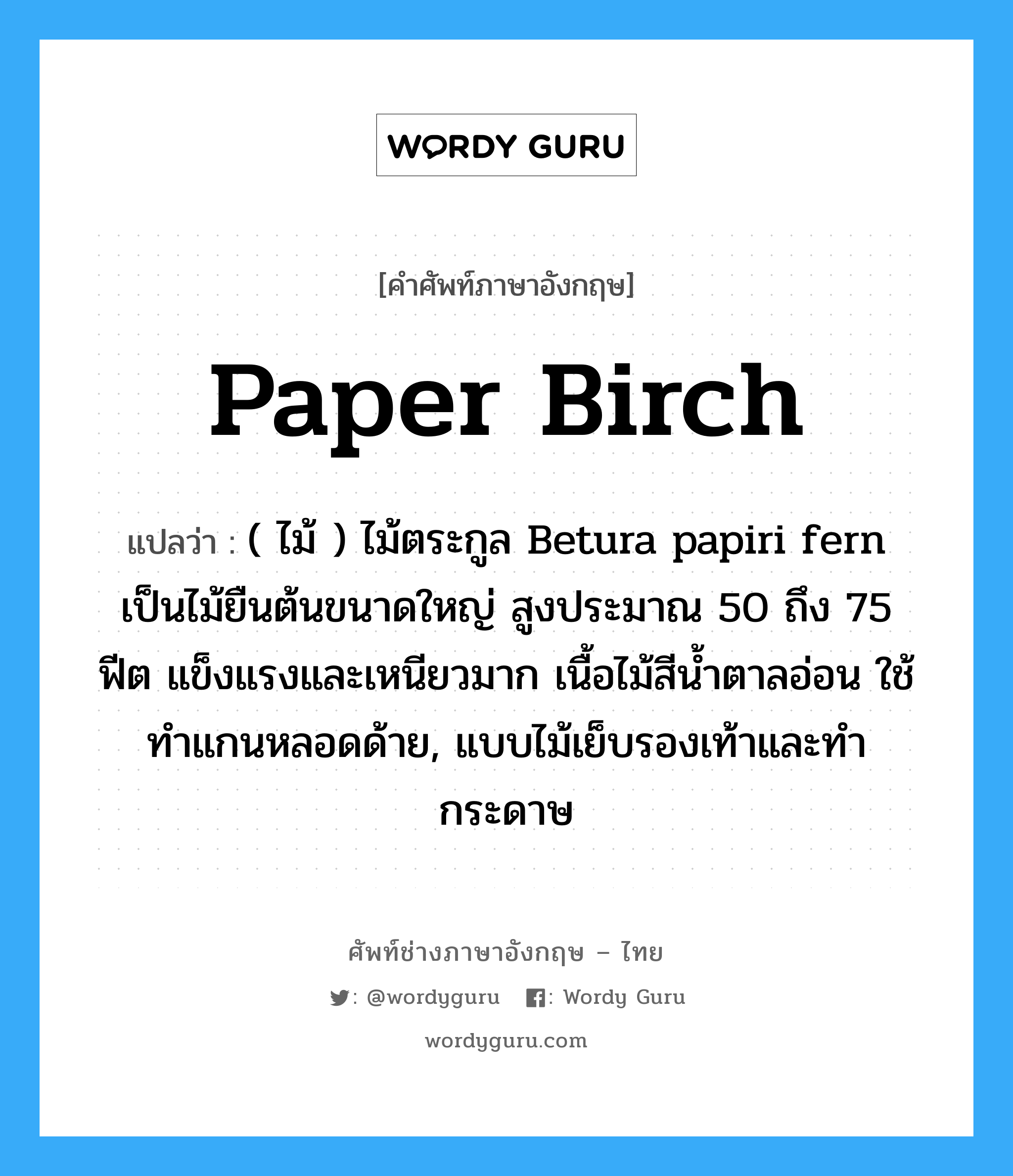 ( ไม้ ) ไม้ตระกูล Betura papiri fern เป็นไม้ยืนต้นขนาดใหญ่ สูงประมาณ 50 ถึง 75 ฟีต แข็งแรงและเหนียวมาก เนื้อไม้สีน้ำตาลอ่อน ใช้ทำแกนหลอดด้าย, แบบไม้เย็บรองเท้าและทำกระดาษ ภาษาอังกฤษ?, คำศัพท์ช่างภาษาอังกฤษ - ไทย ( ไม้ ) ไม้ตระกูล Betura papiri fern เป็นไม้ยืนต้นขนาดใหญ่ สูงประมาณ 50 ถึง 75 ฟีต แข็งแรงและเหนียวมาก เนื้อไม้สีน้ำตาลอ่อน ใช้ทำแกนหลอดด้าย, แบบไม้เย็บรองเท้าและทำกระดาษ คำศัพท์ภาษาอังกฤษ ( ไม้ ) ไม้ตระกูล Betura papiri fern เป็นไม้ยืนต้นขนาดใหญ่ สูงประมาณ 50 ถึง 75 ฟีต แข็งแรงและเหนียวมาก เนื้อไม้สีน้ำตาลอ่อน ใช้ทำแกนหลอดด้าย, แบบไม้เย็บรองเท้าและทำกระดาษ แปลว่า paper birch