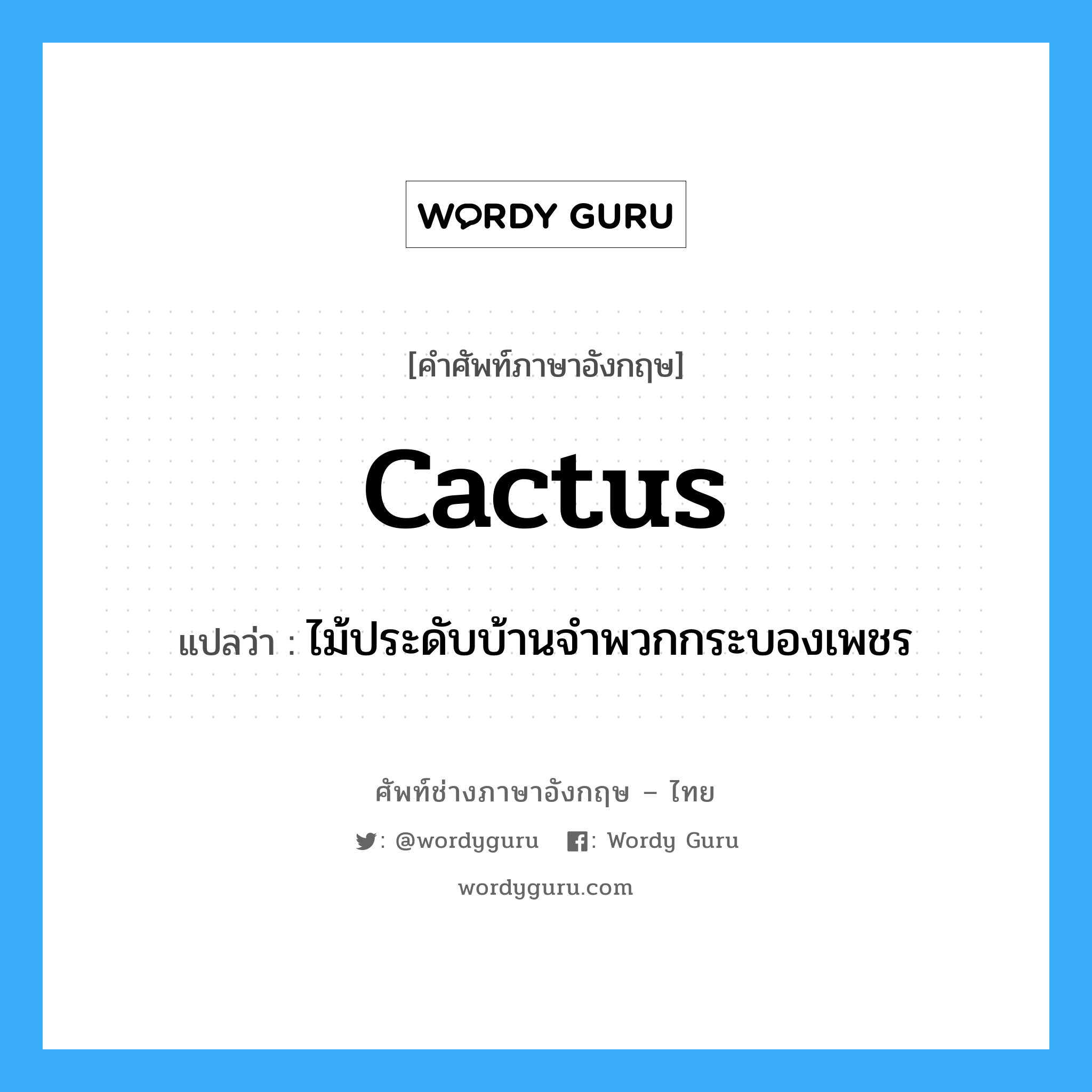 cactus แปลว่า?, คำศัพท์ช่างภาษาอังกฤษ - ไทย cactus คำศัพท์ภาษาอังกฤษ cactus แปลว่า ไม้ประดับบ้านจำพวกกระบองเพชร